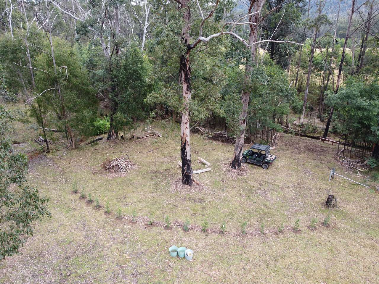 Picture of the site
