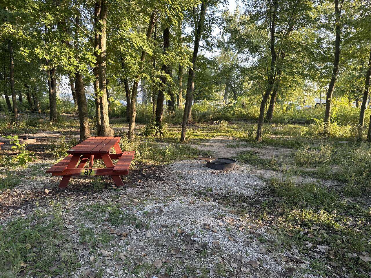 Picture of the site