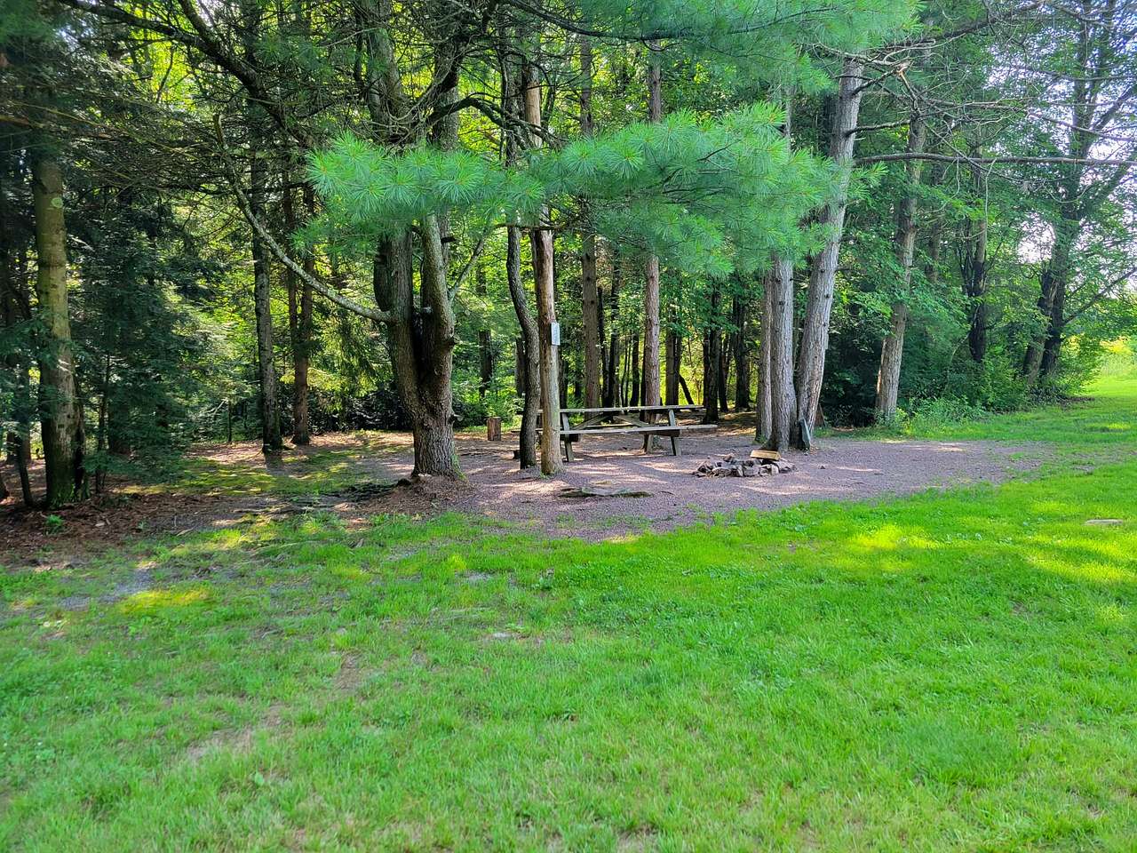 Picture of the site