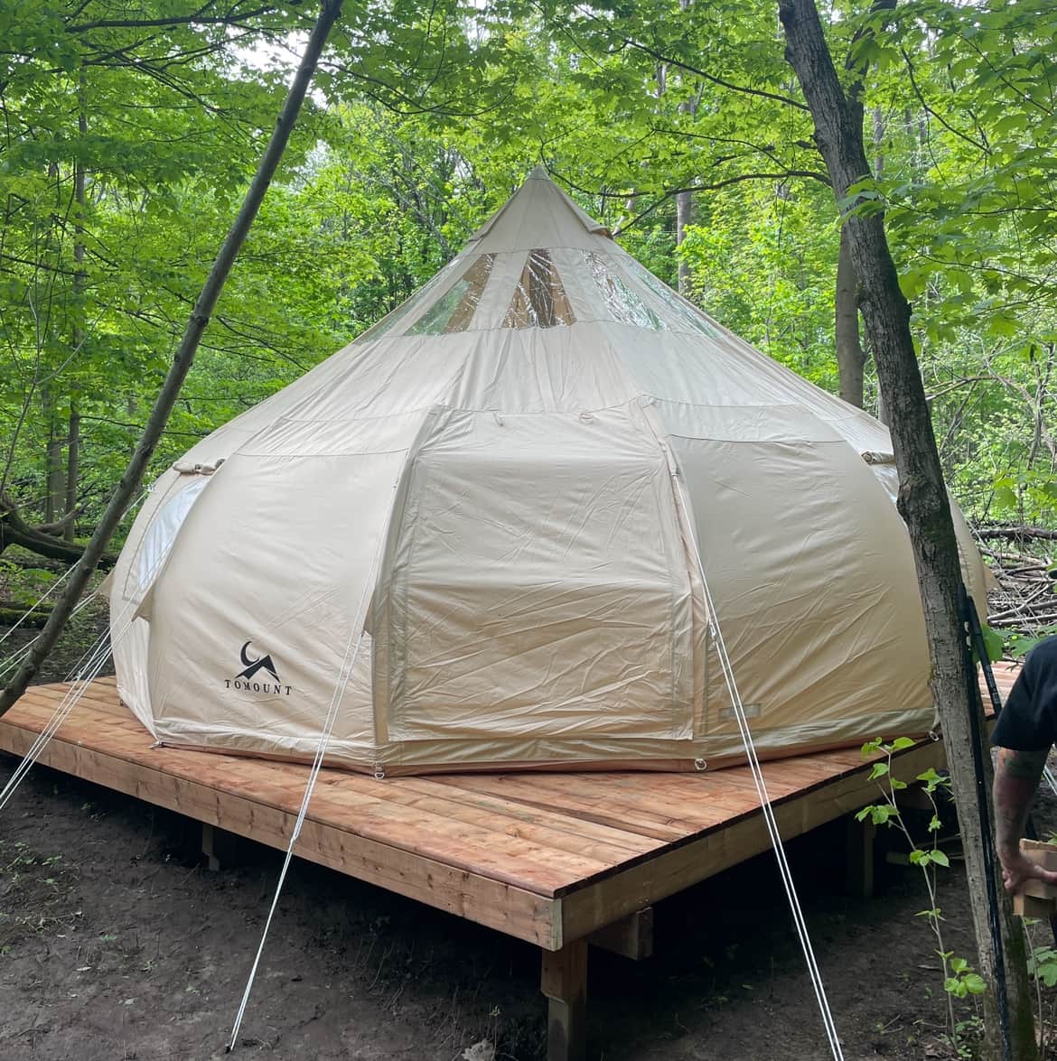 Picture of the site
