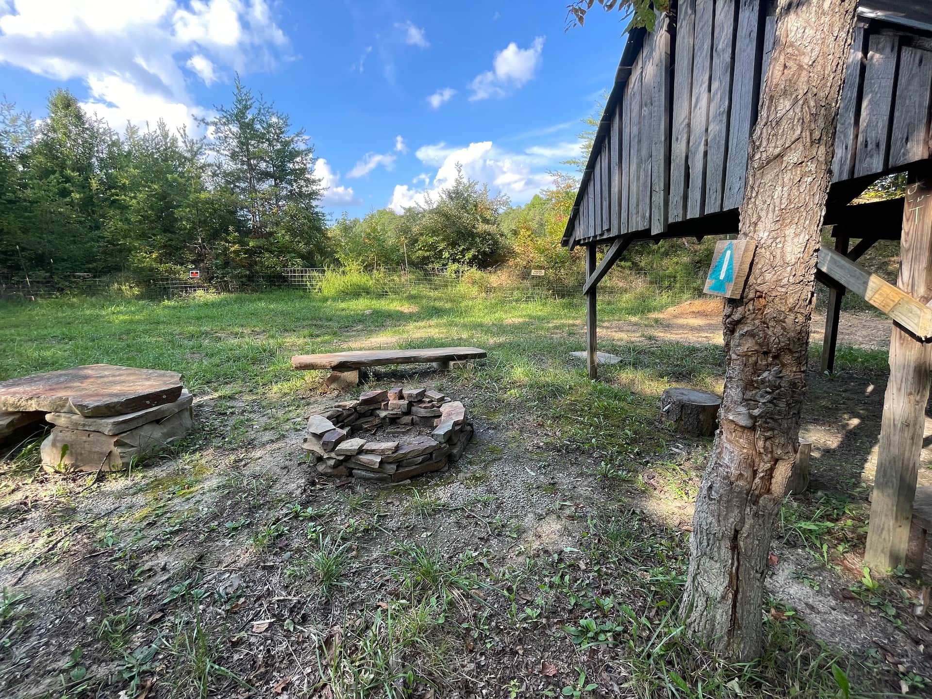 Picture of the site