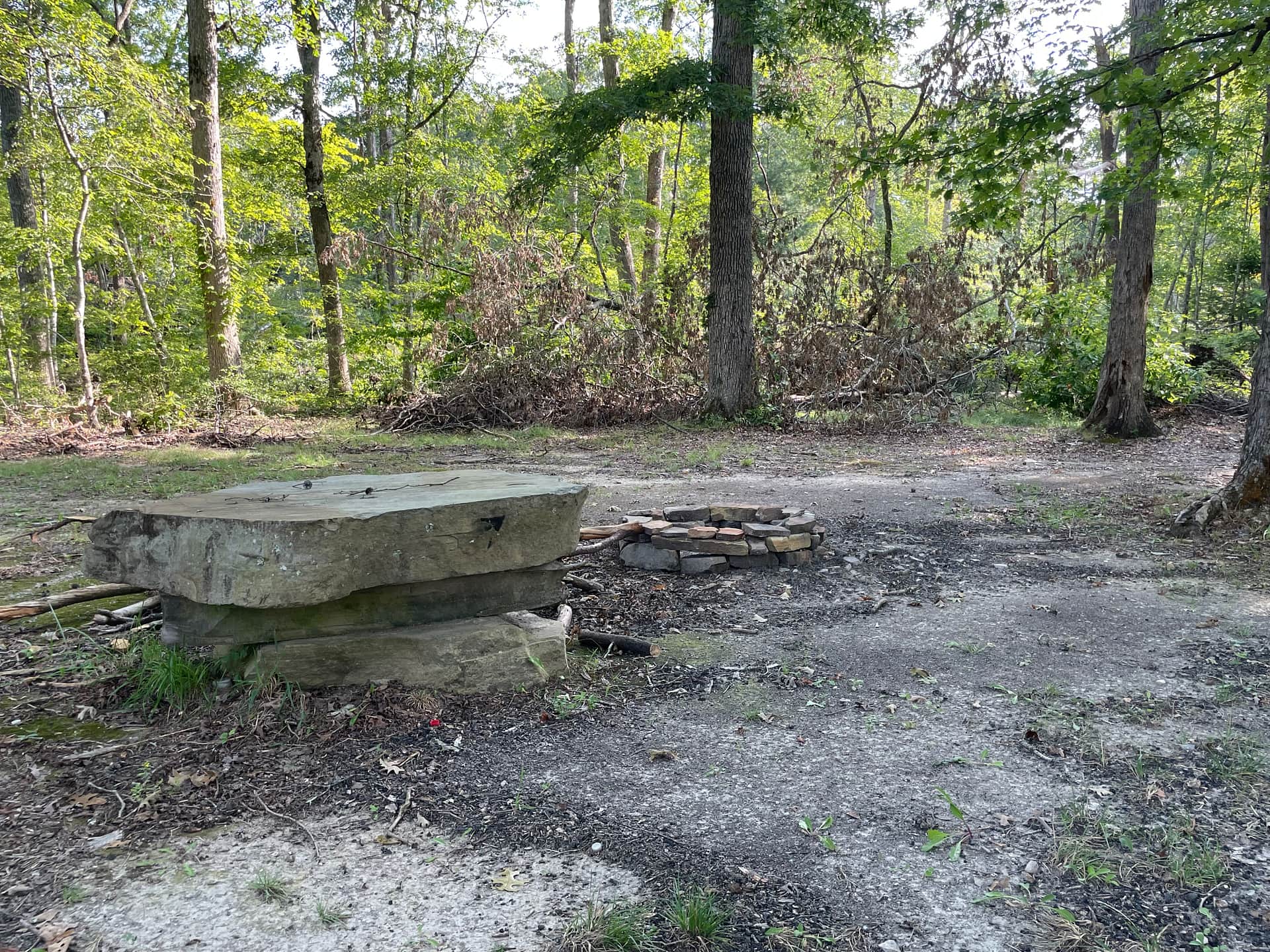 Picture of the site