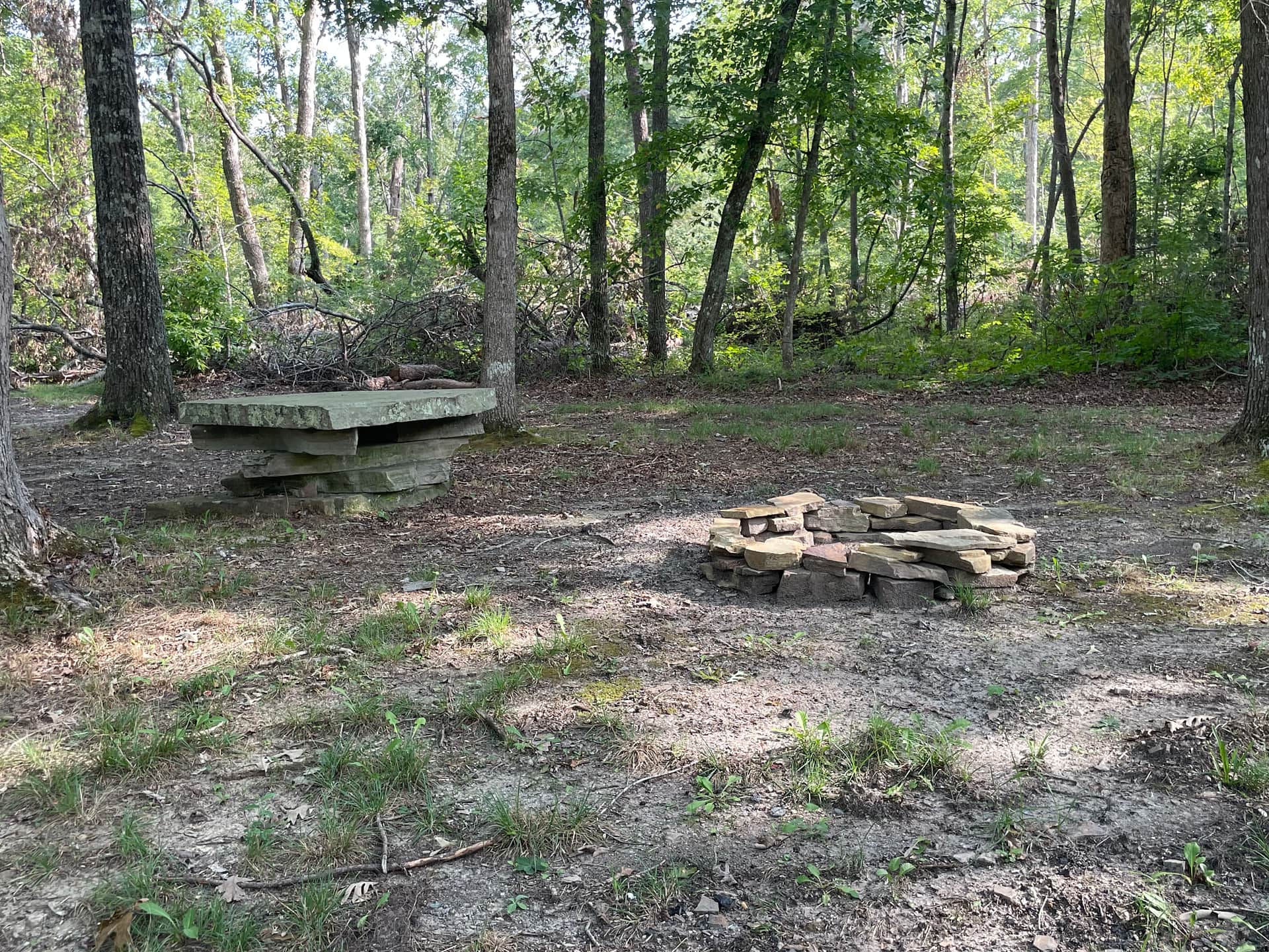 Picture of the site