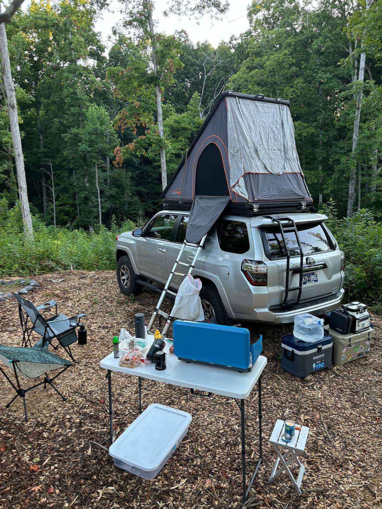 Picture of the site