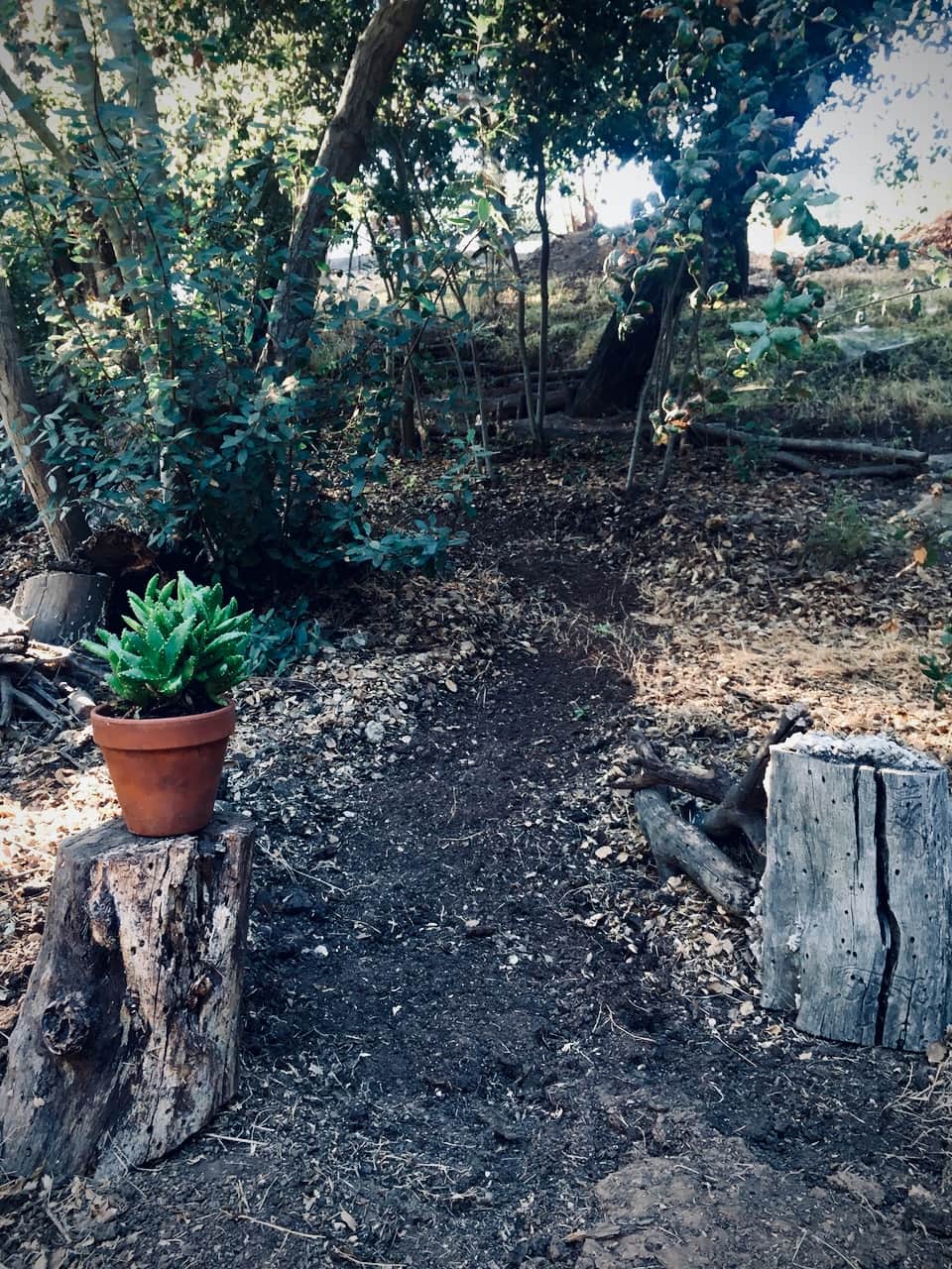 Picture of the site
