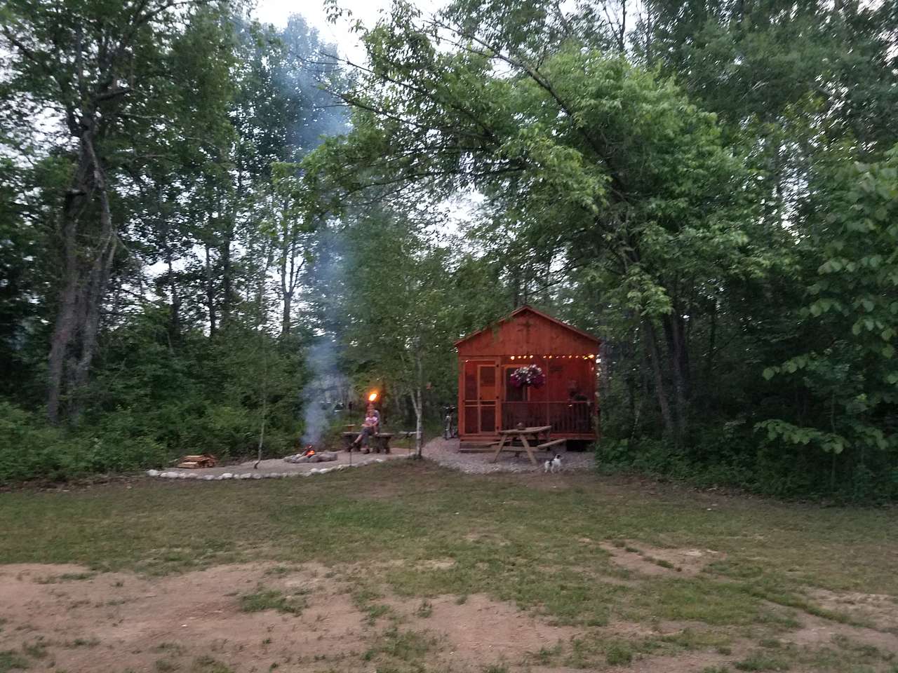 Picture of the site