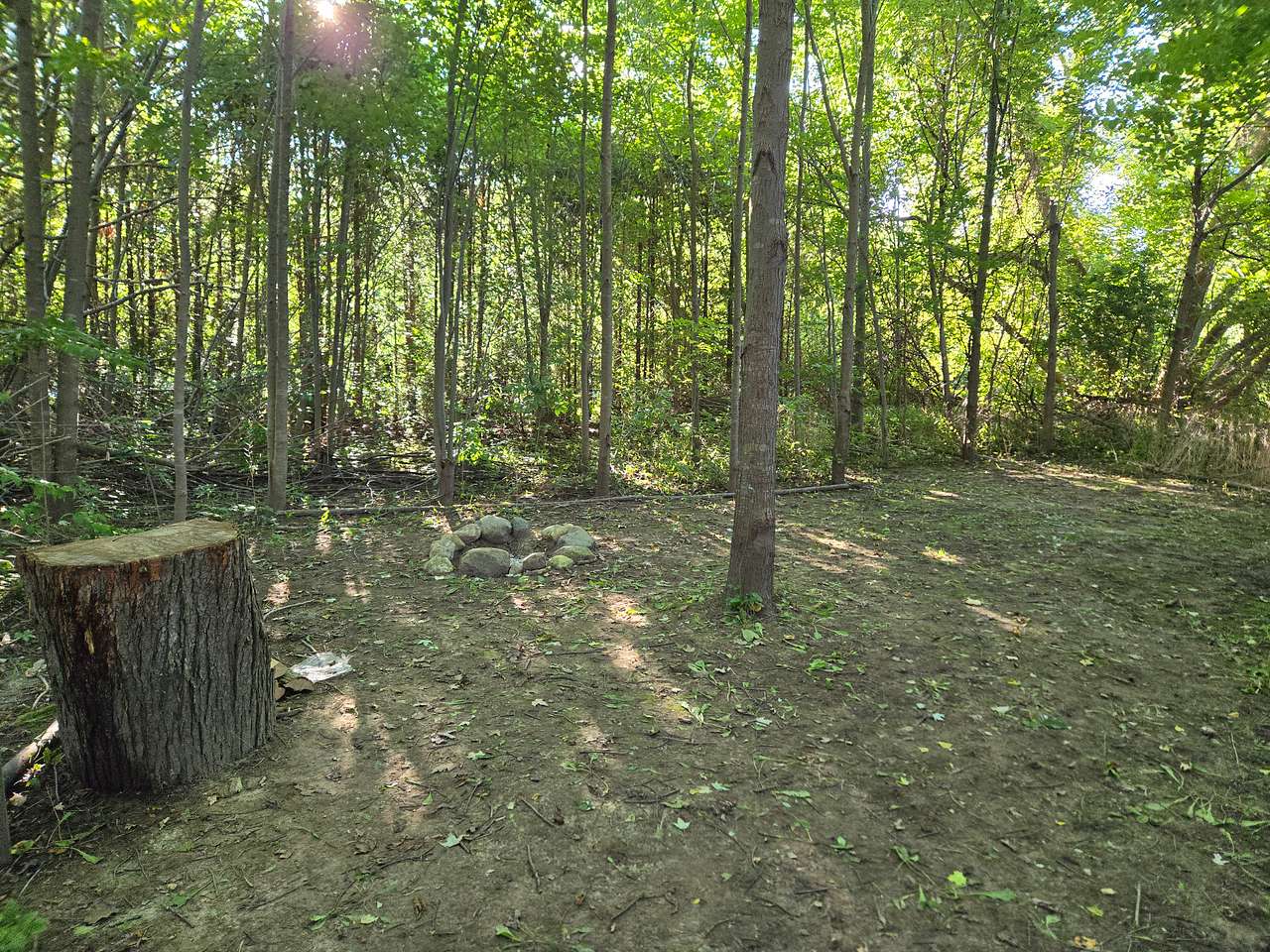 Picture of the site