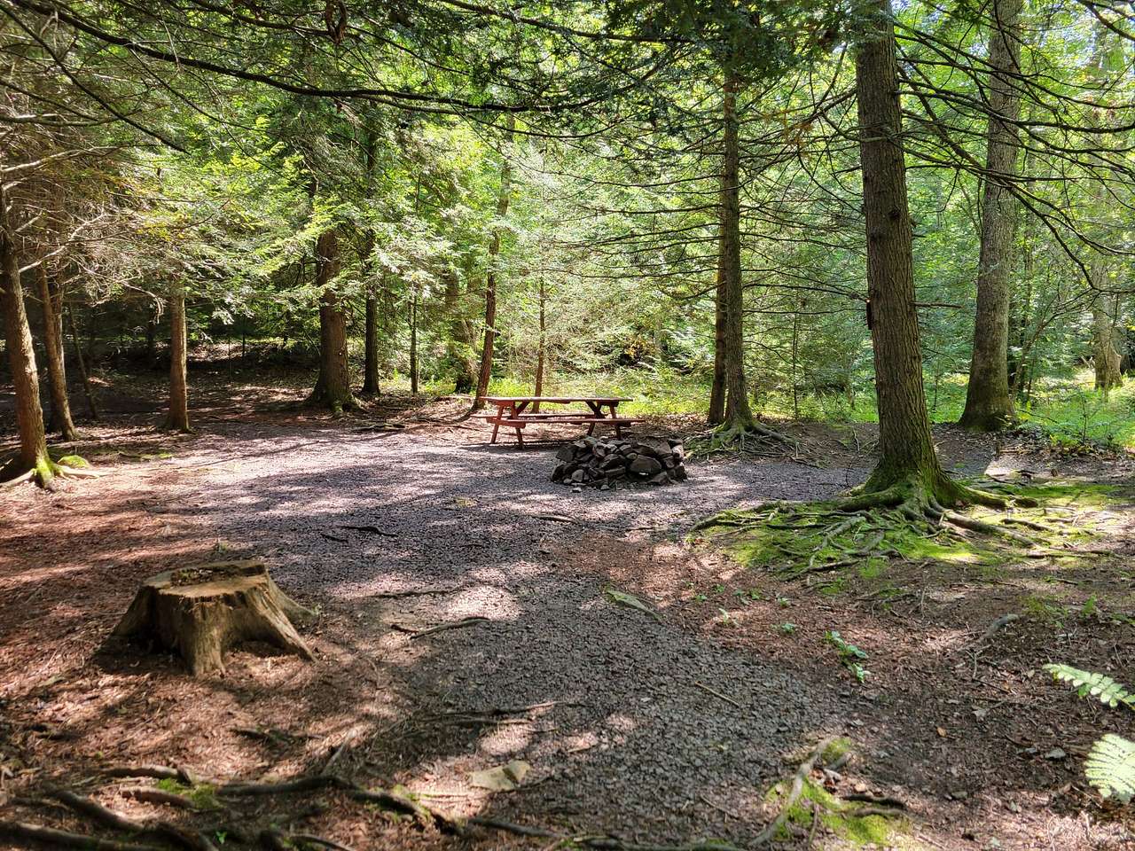Picture of the site