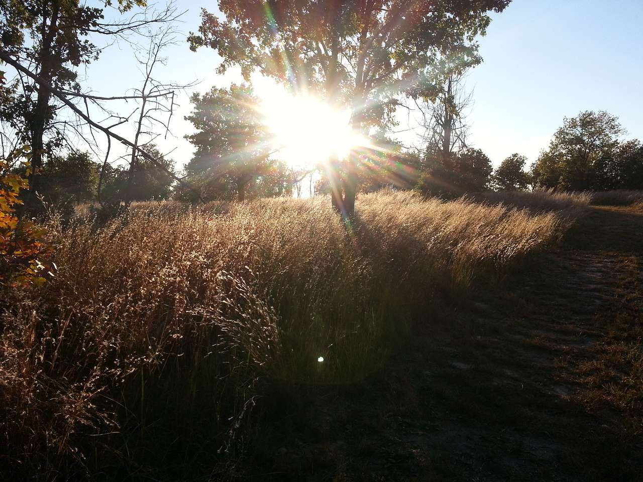 Picture of the site