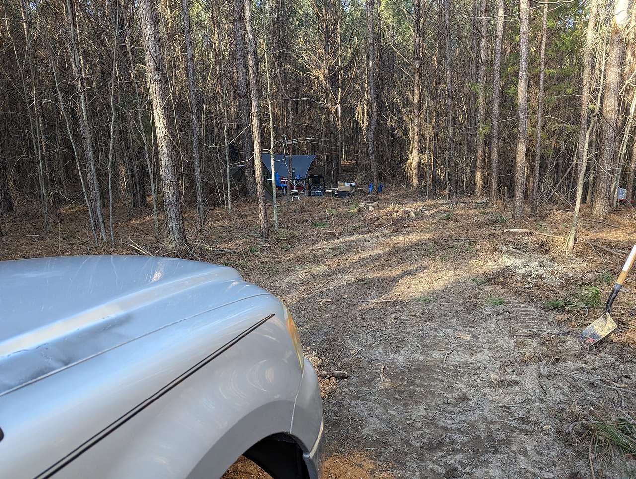 Picture of the site