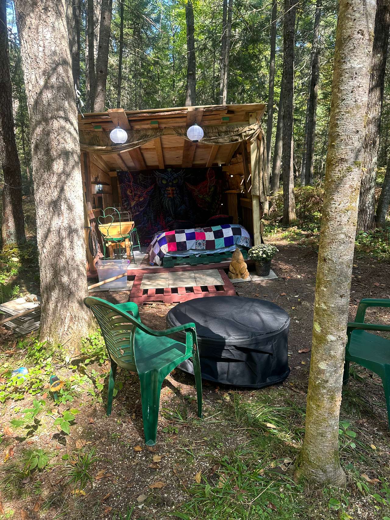Picture of the site
