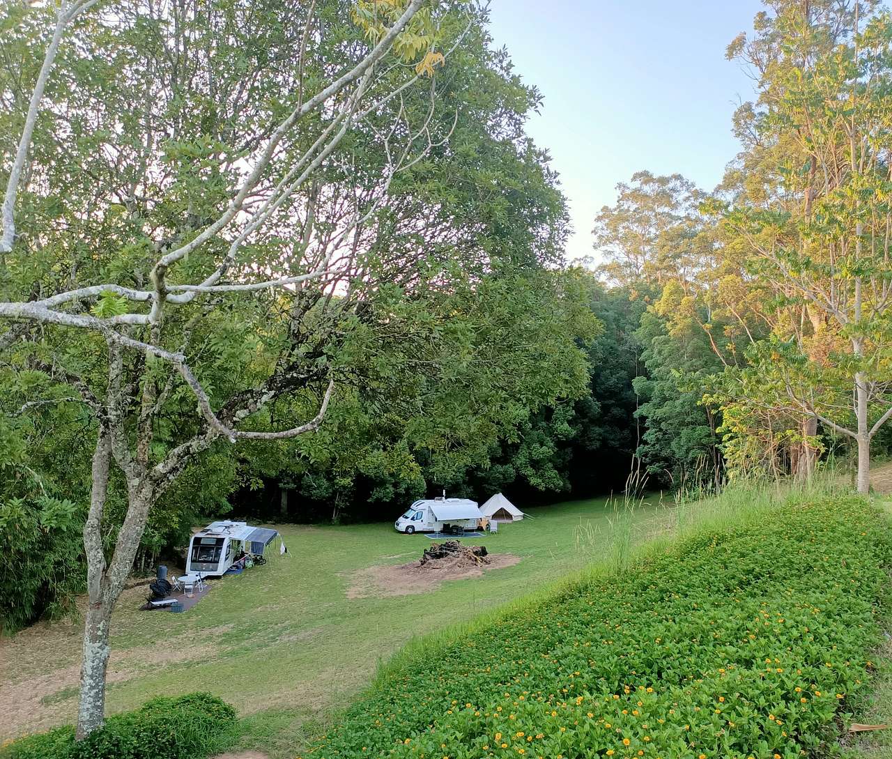 Picture of the site