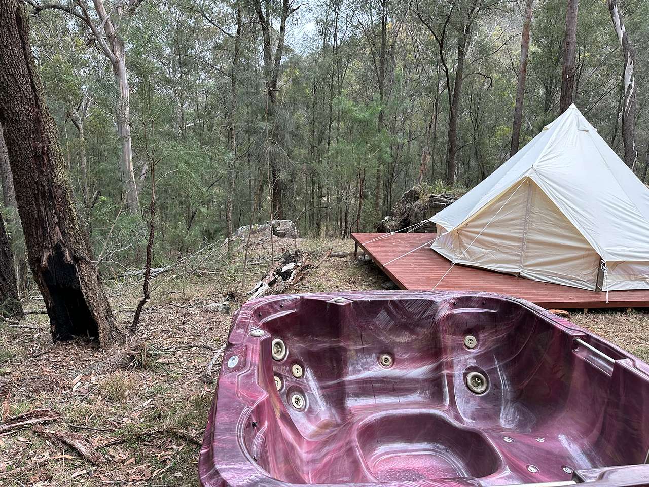 Picture of the site