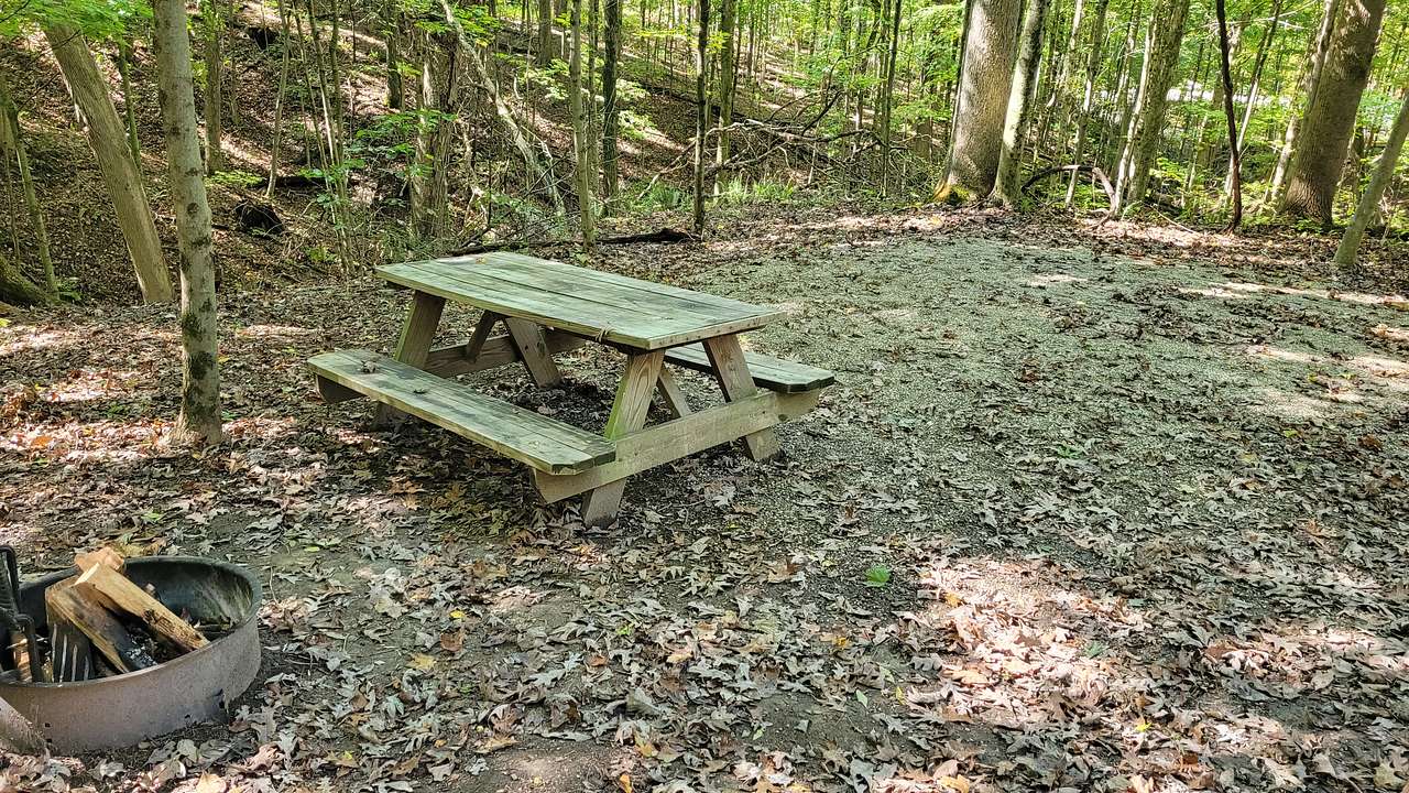 Picture of the site