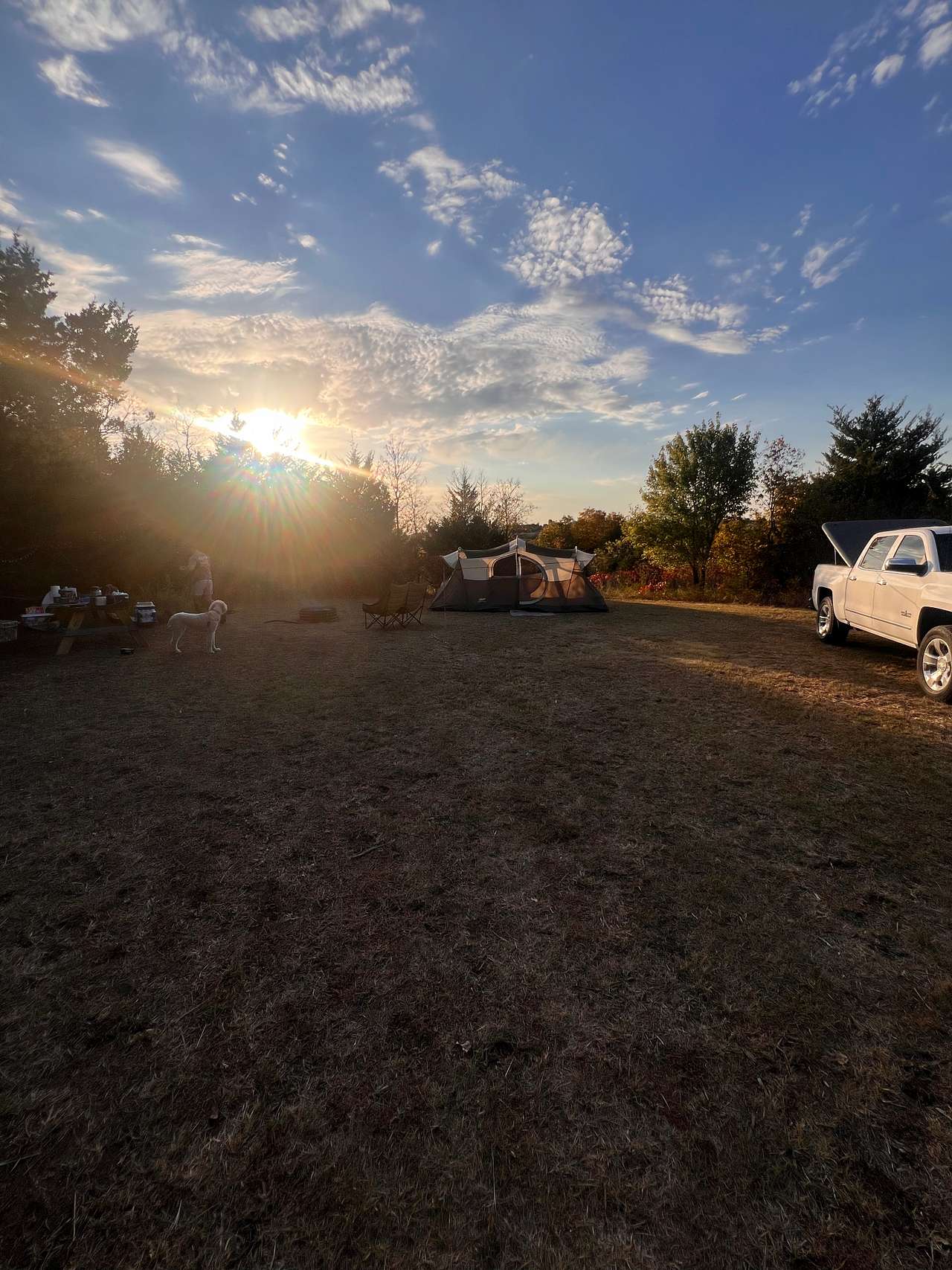 Picture of the site