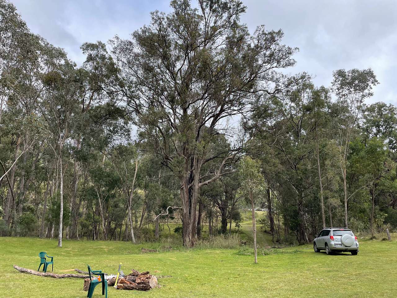 Picture of the site