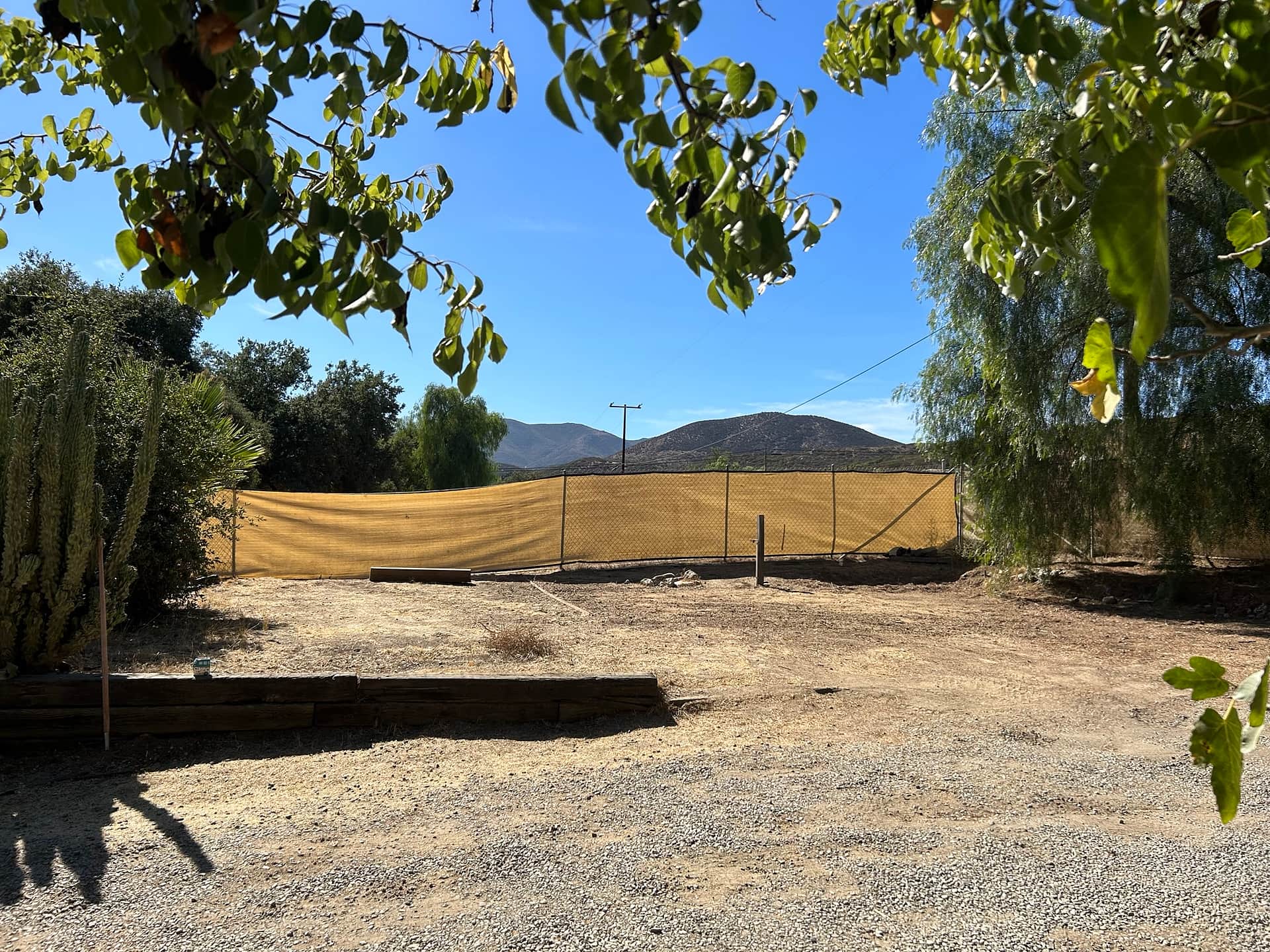 Picture of the site