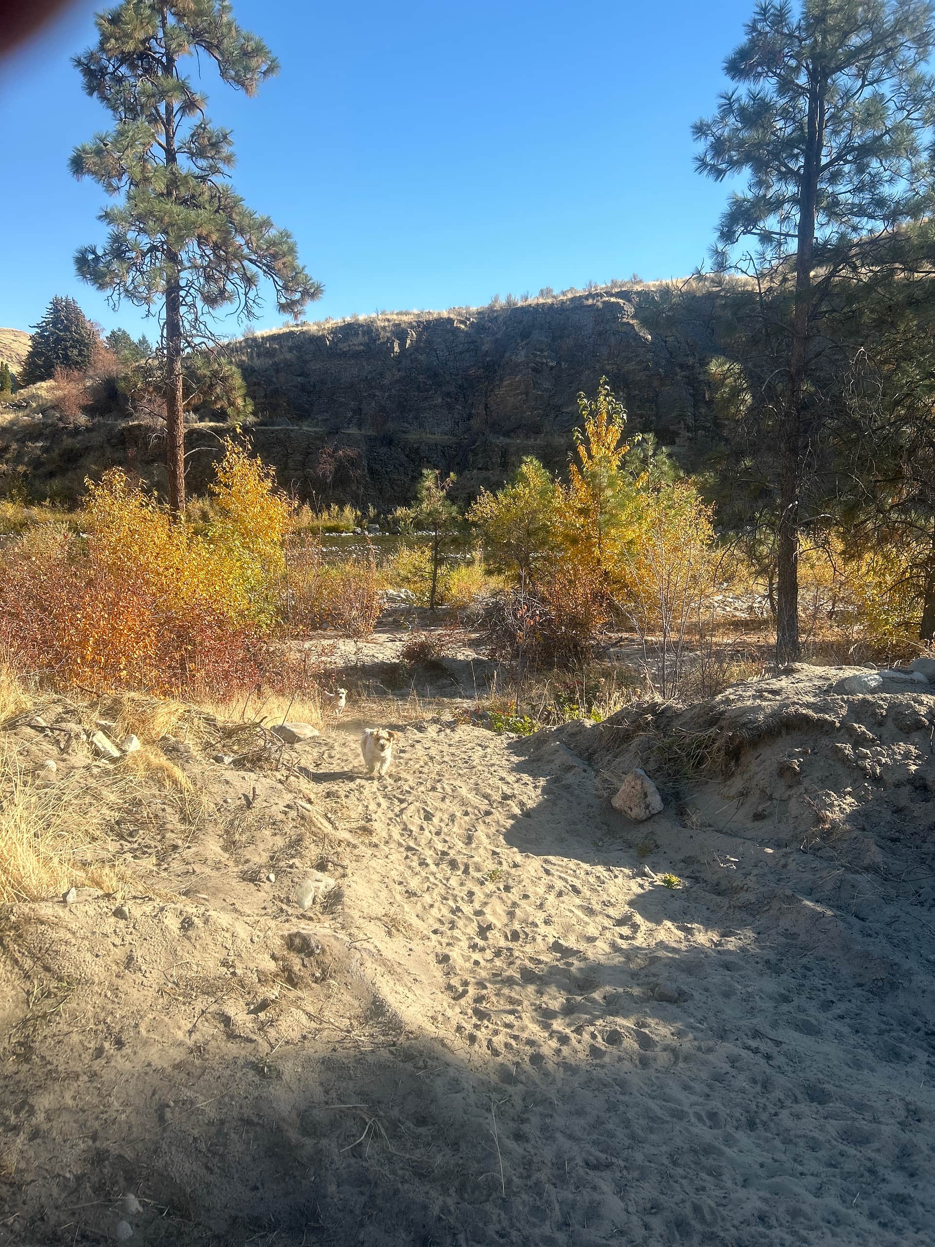 Picture of the site