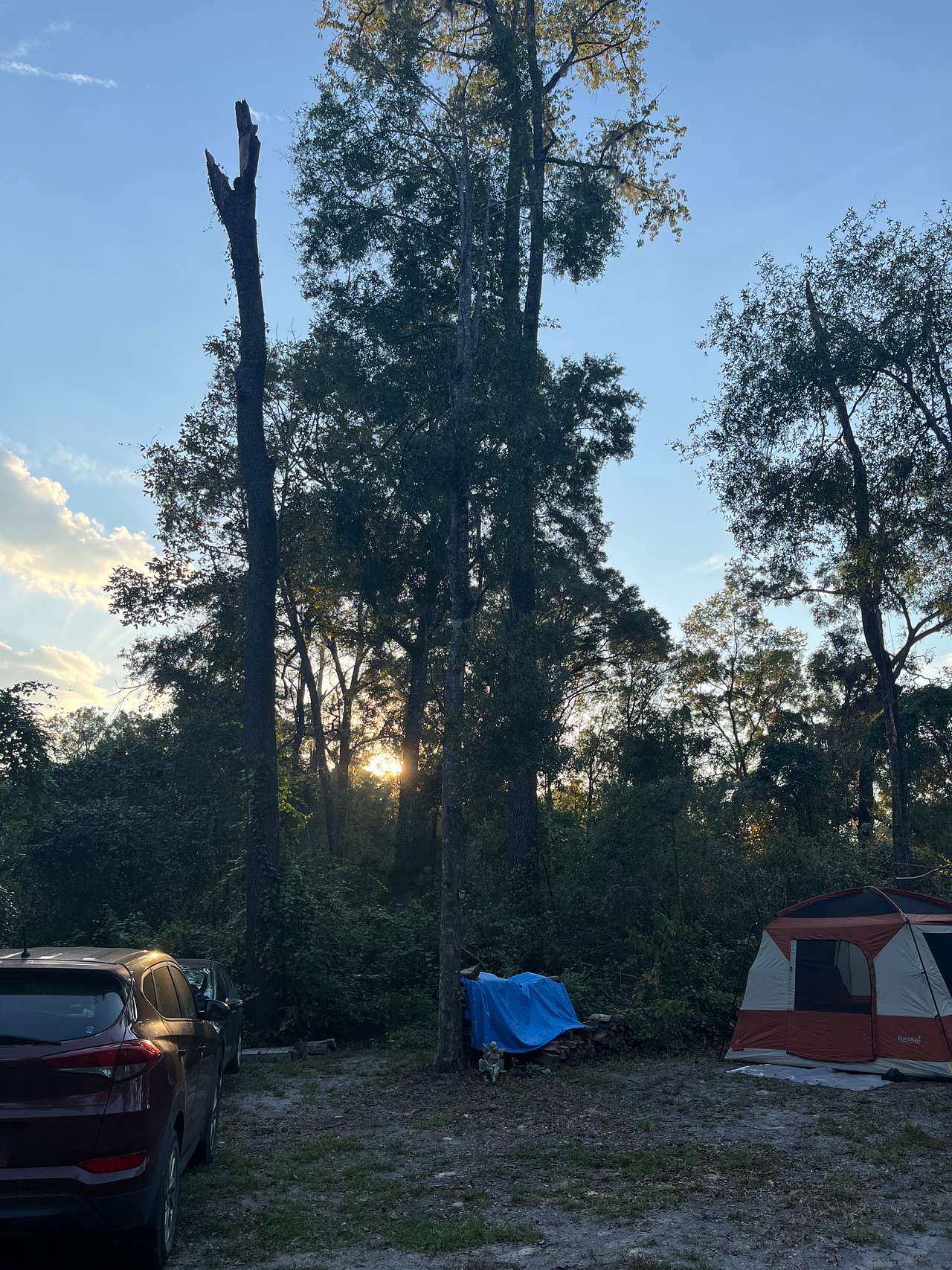 Picture of the site
