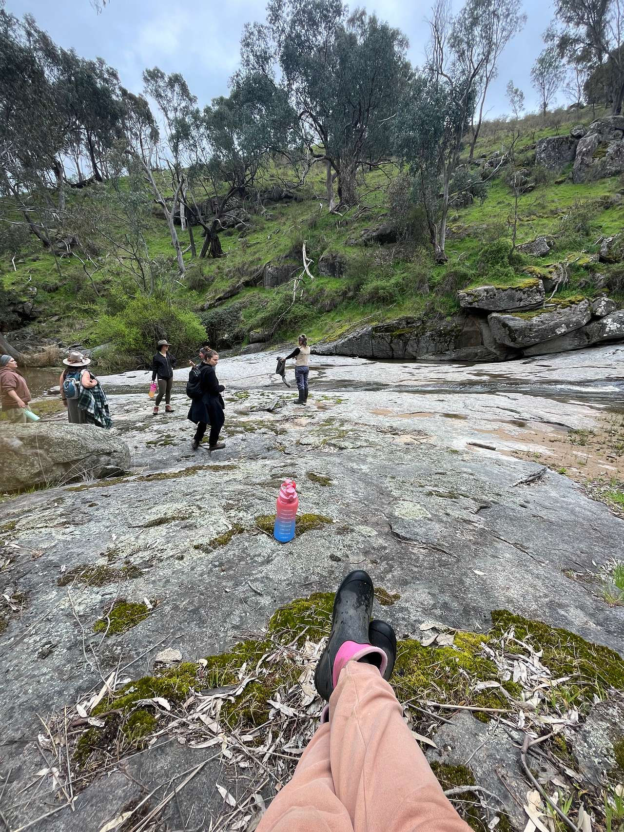 Picture of the site