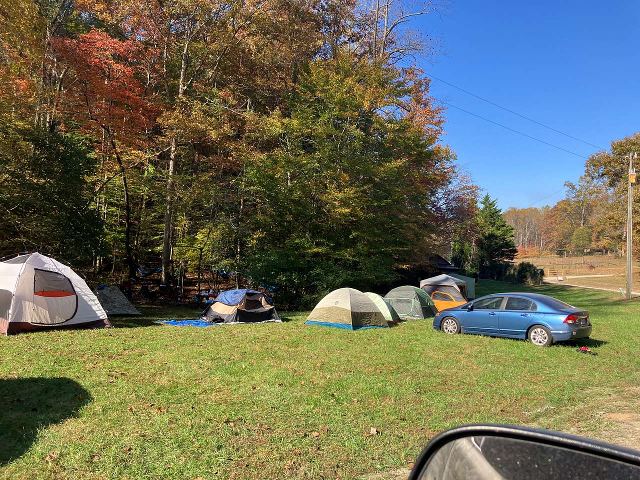 Picture of the site