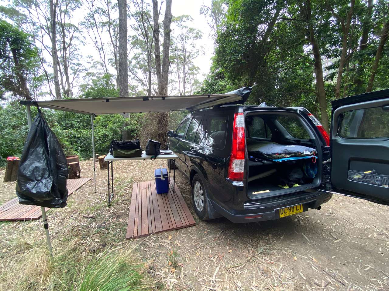 Picture of the site