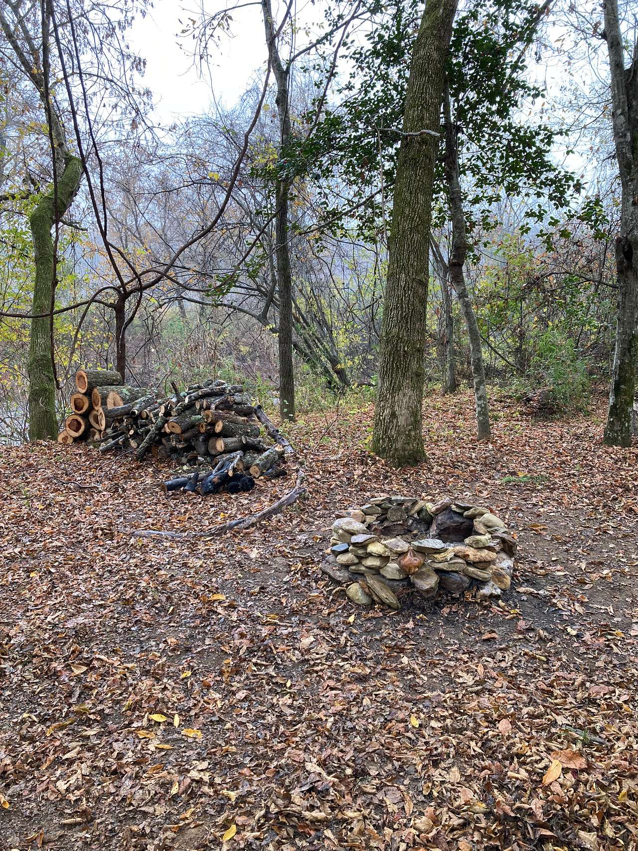 Picture of the site