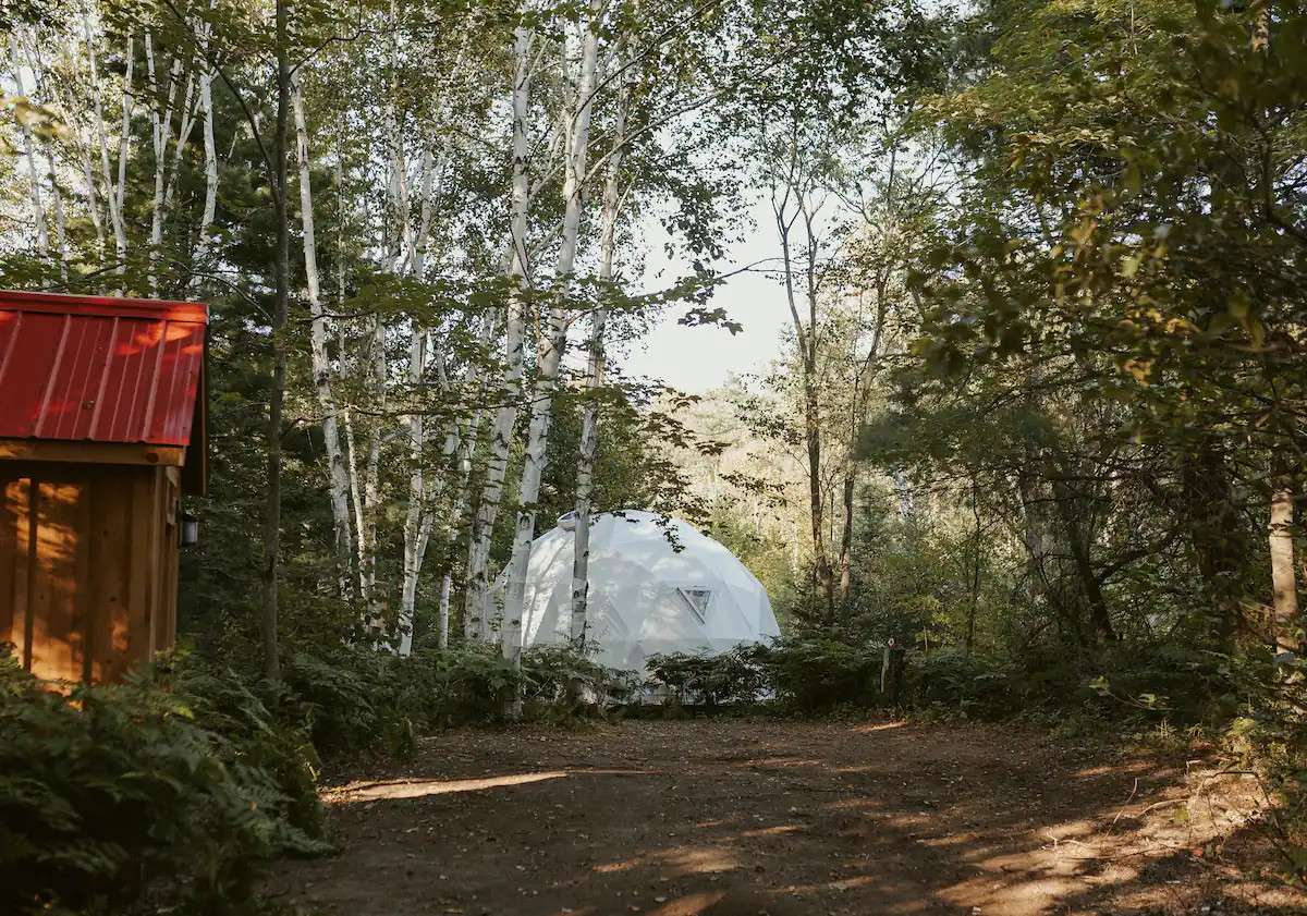 Picture of the site