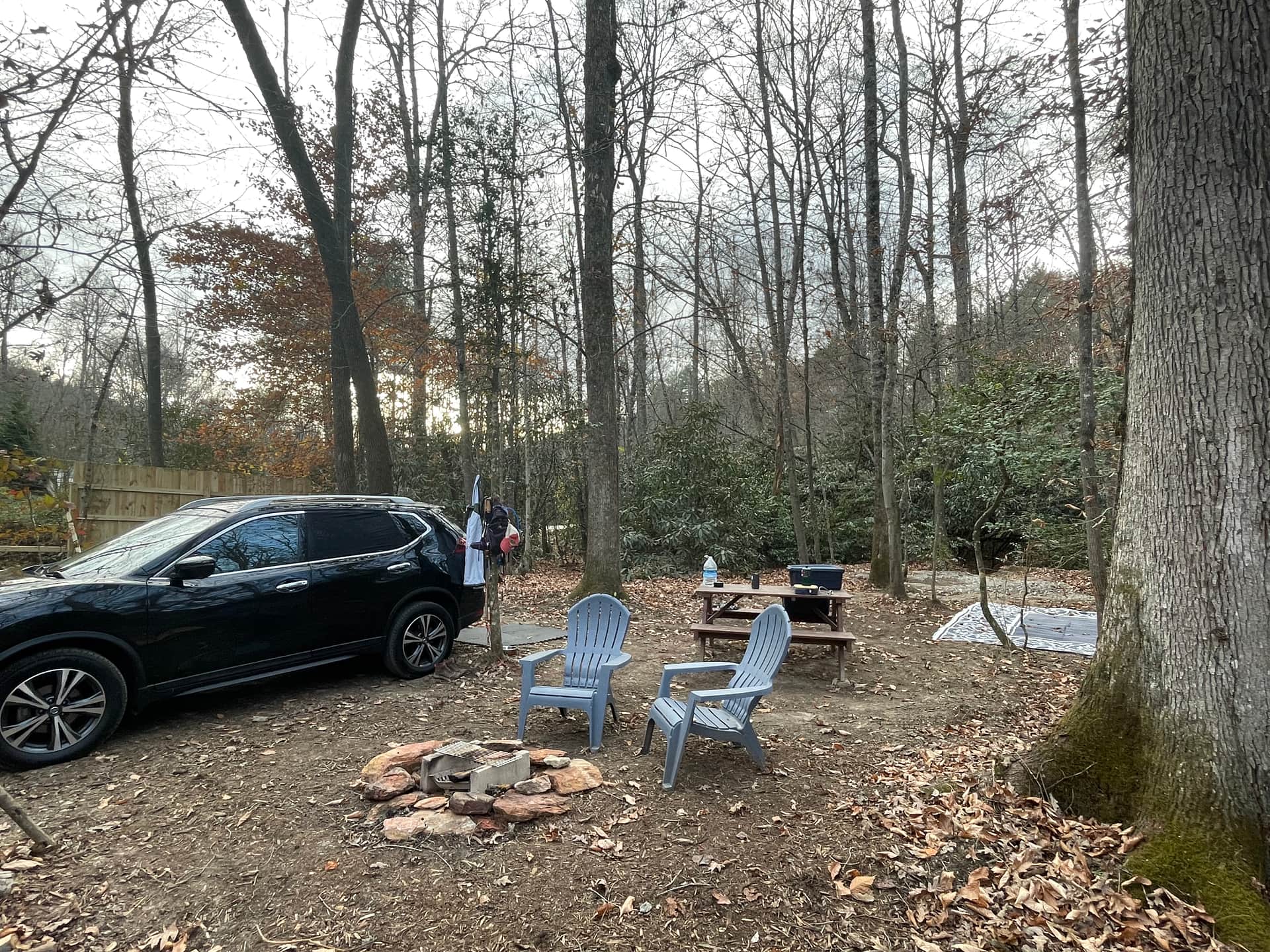 Picture of the site