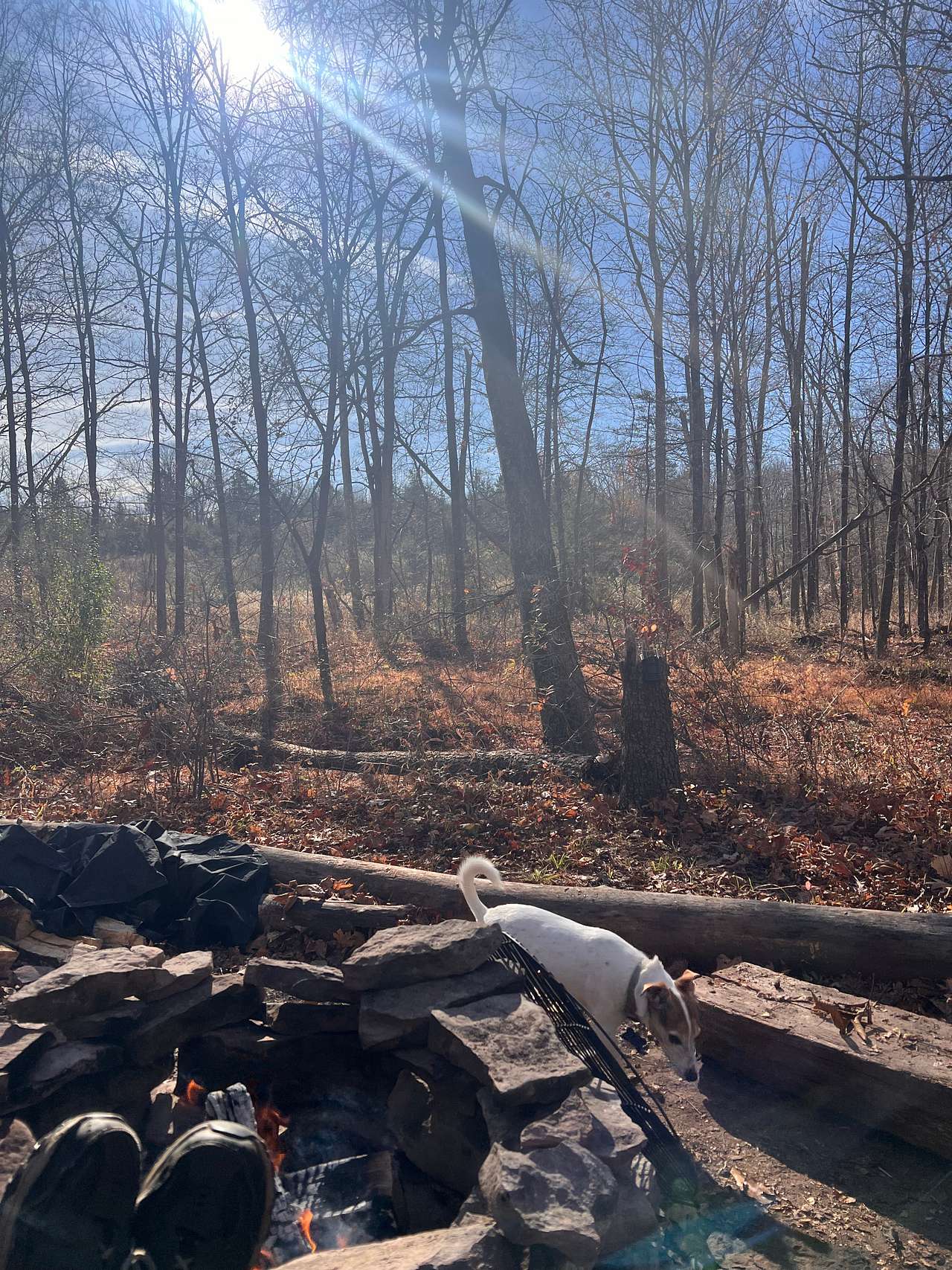 Picture of the site