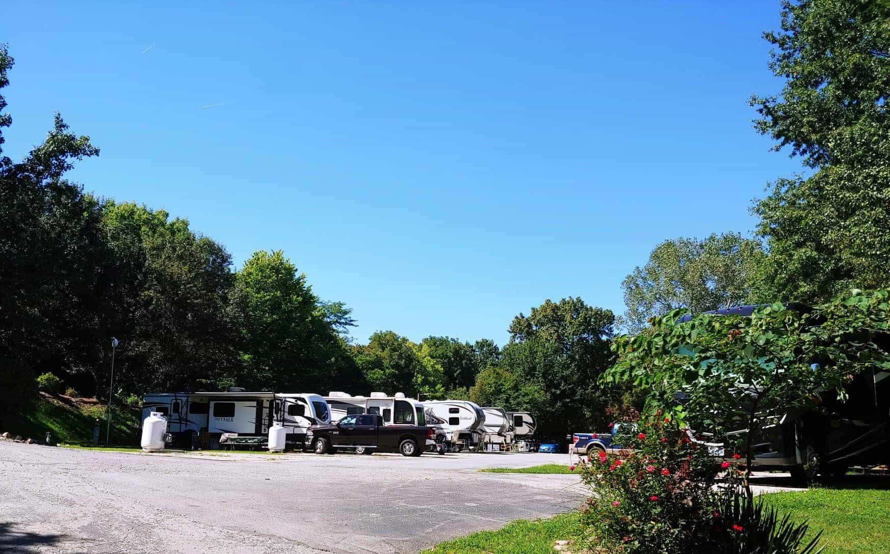 Picture of the site