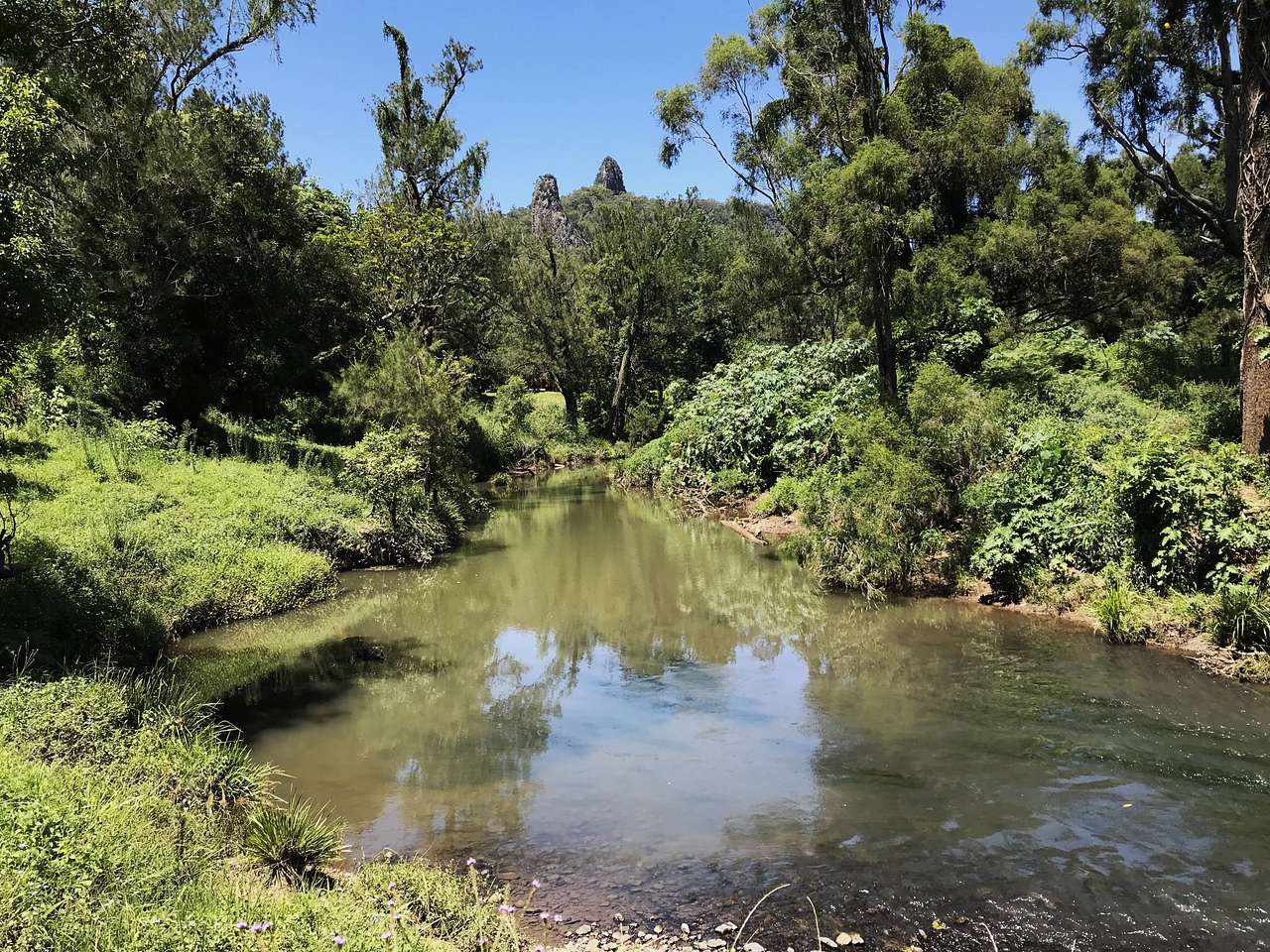 Photo 1 of 6 of Nimbin Rocks Camping