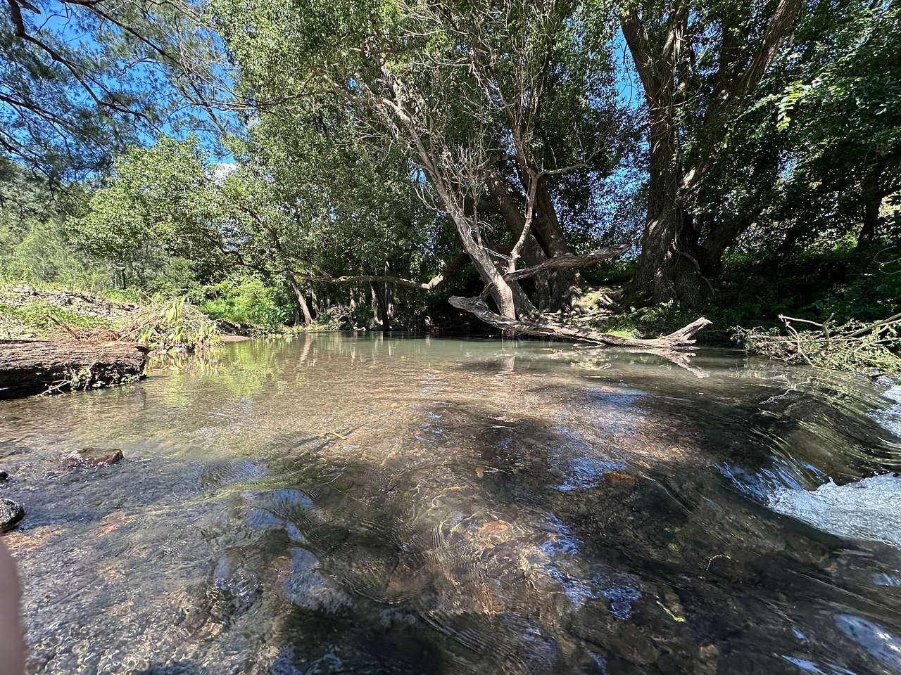 Picture of the site