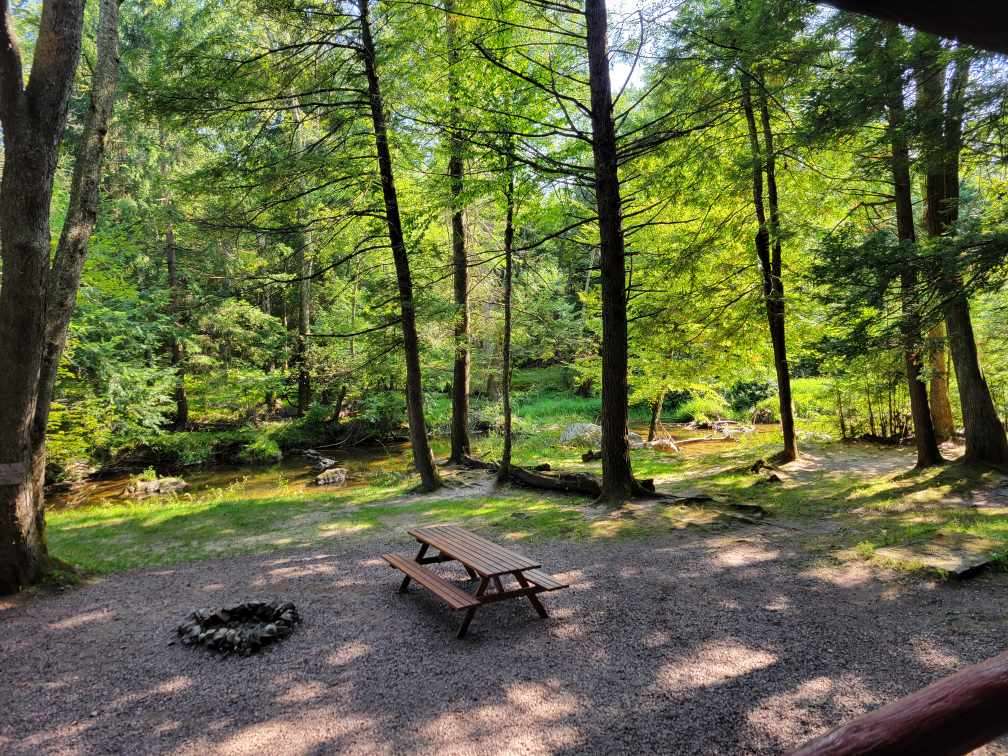 Picture of the site