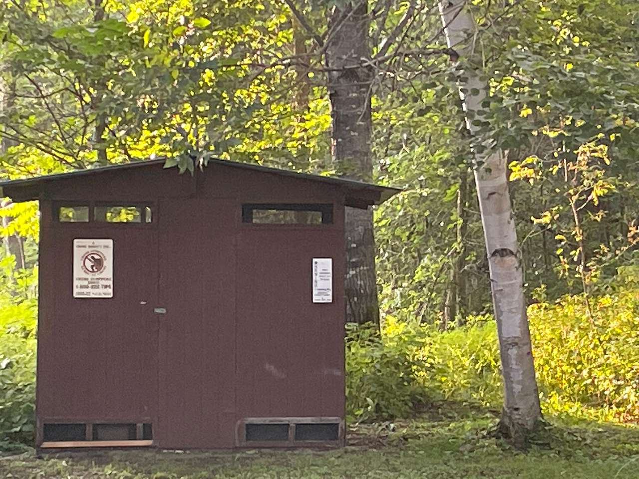 Picture of the site