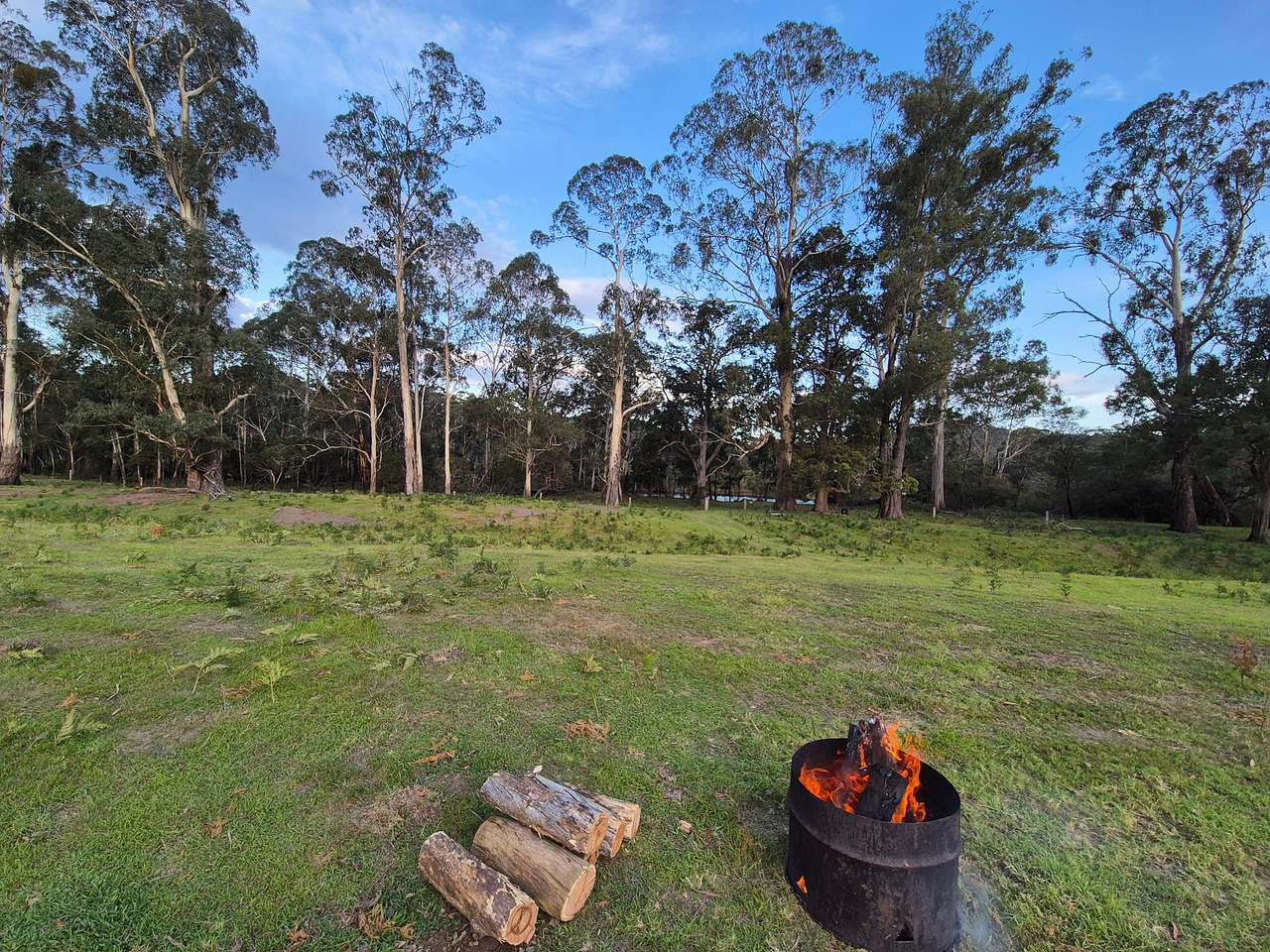 Picture of the site