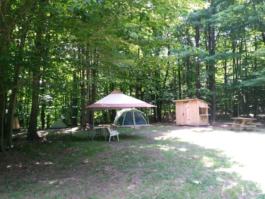 Picture of the site