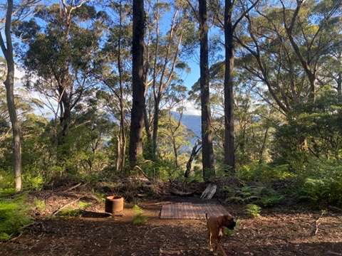 Picture of the site
