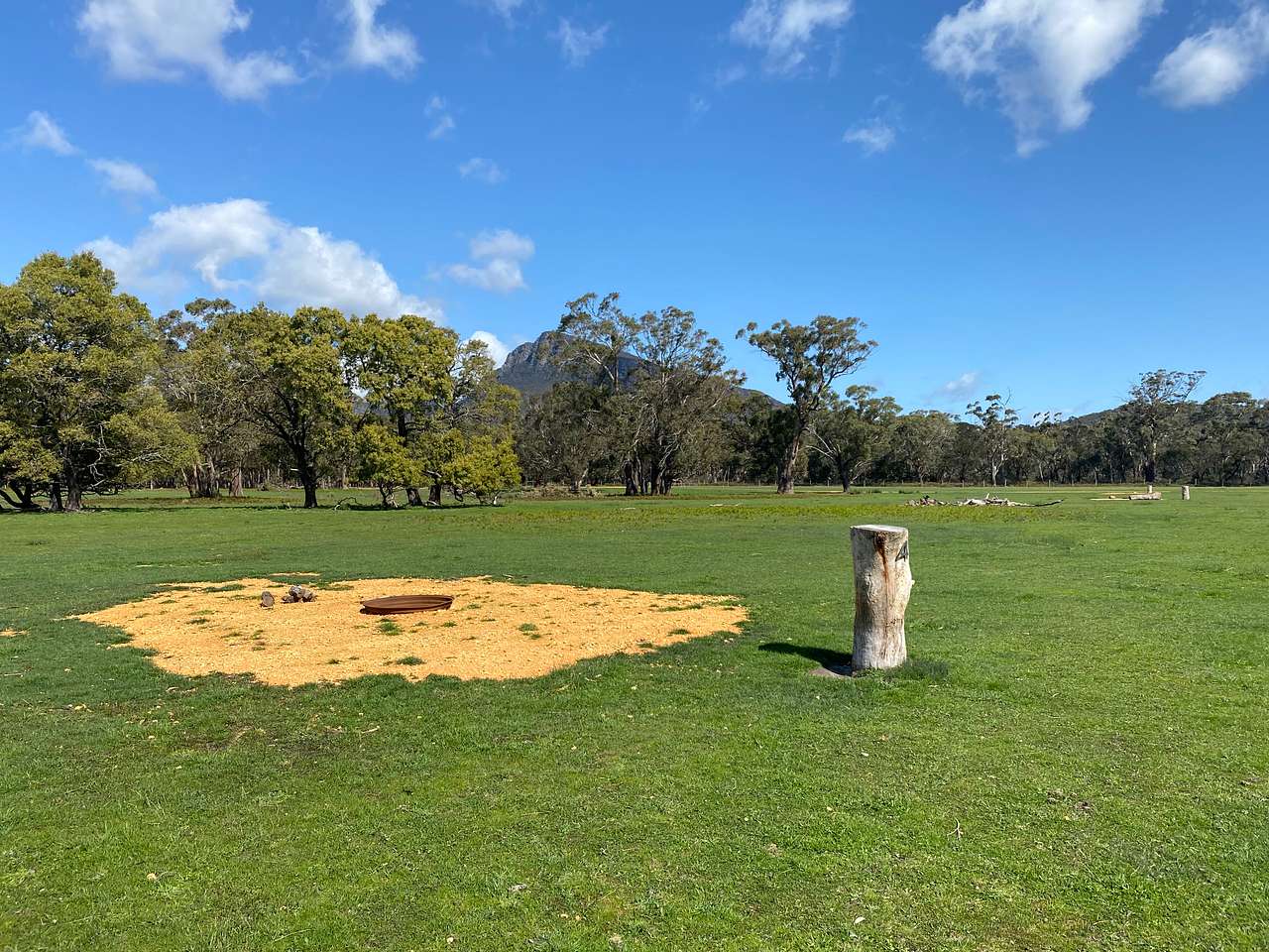 Picture of the site