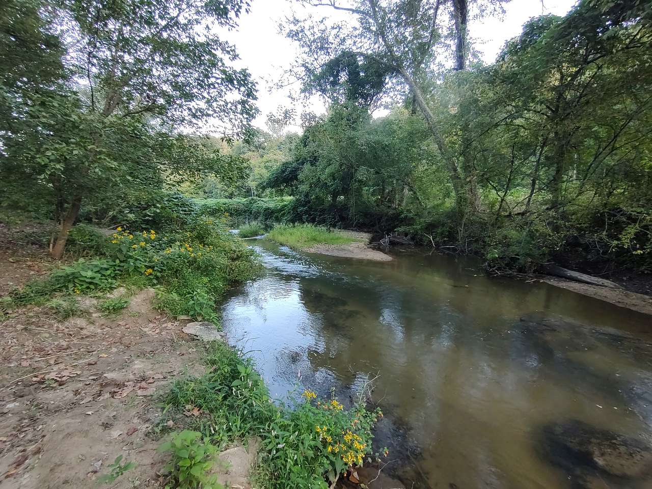Picture of the site