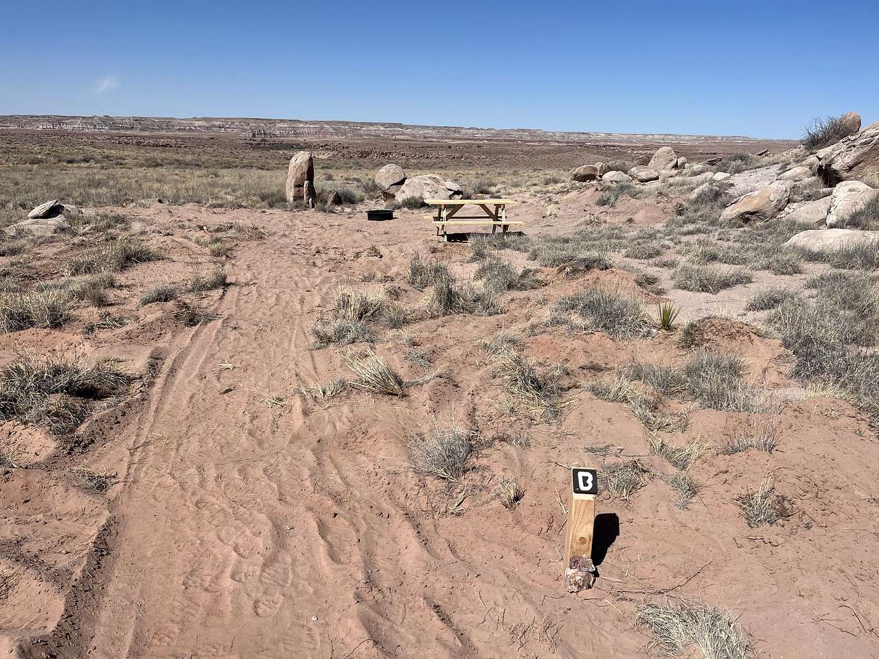 Picture of the site