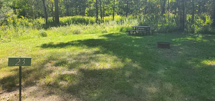 Picture of the site