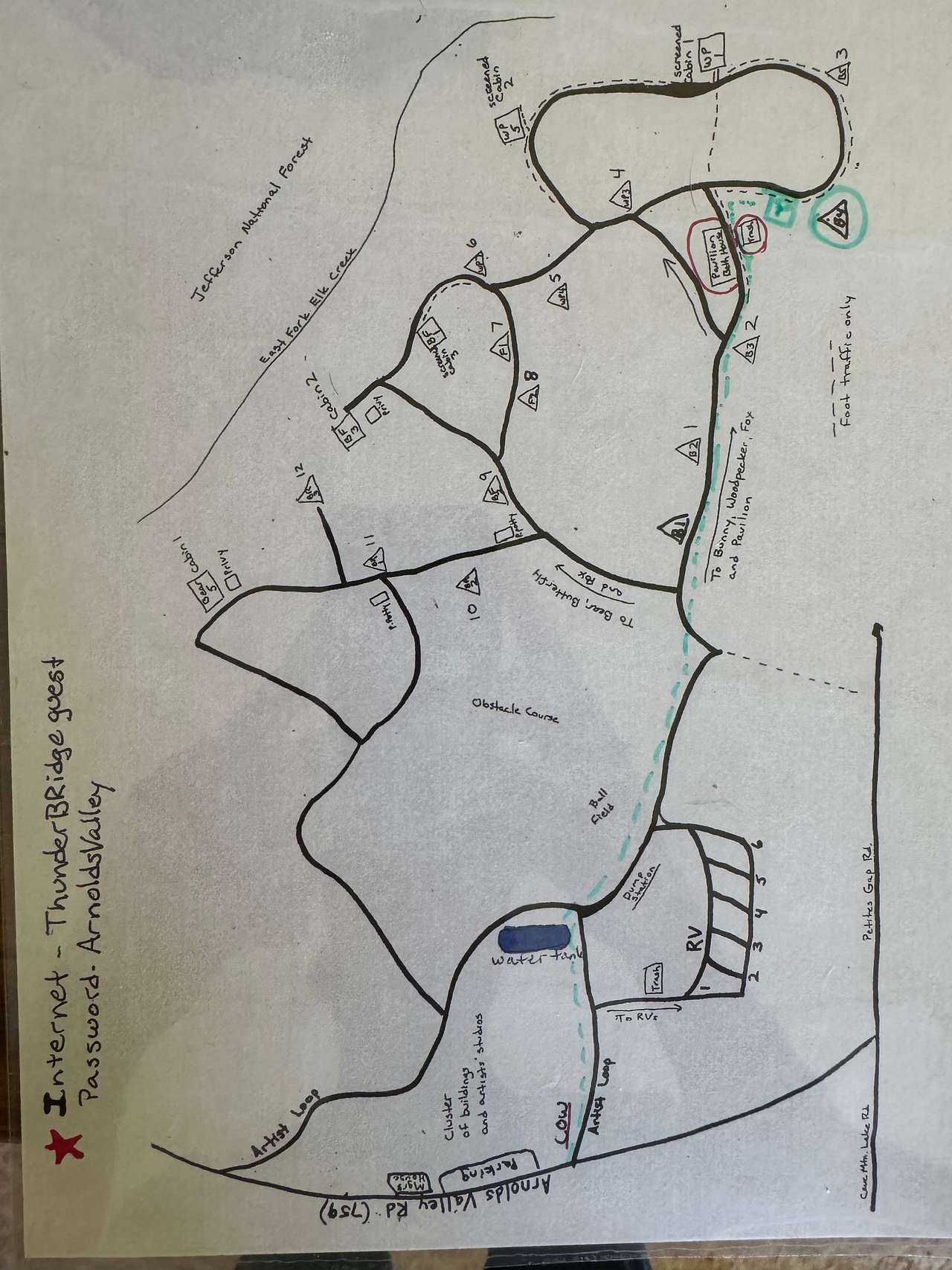 Picture of the site
