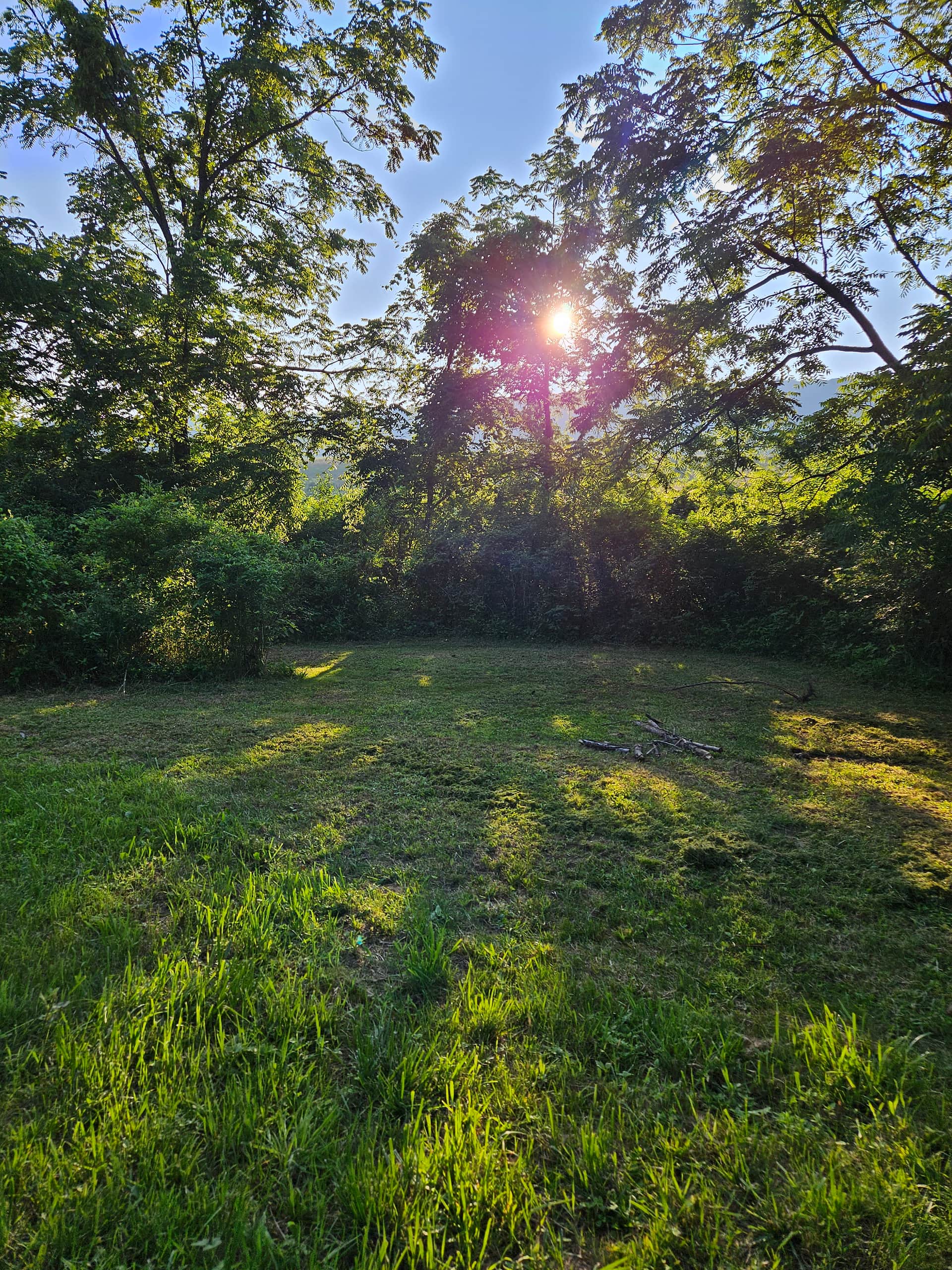 Picture of the site