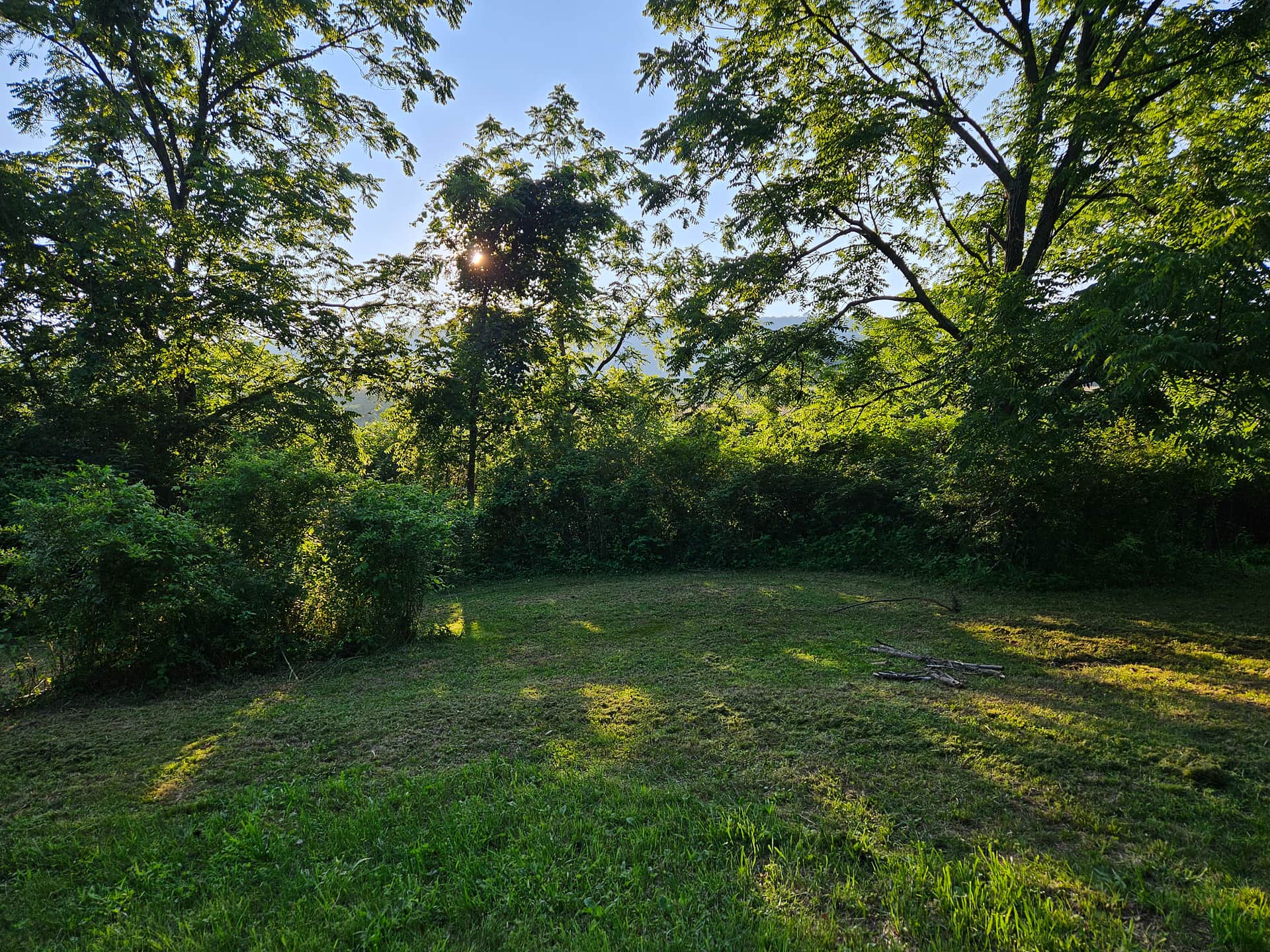 Picture of the site