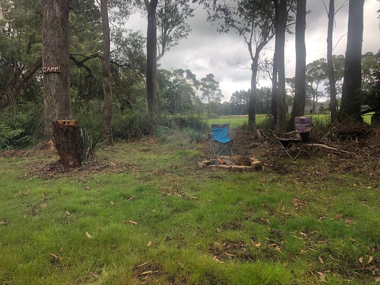 Picture of the site