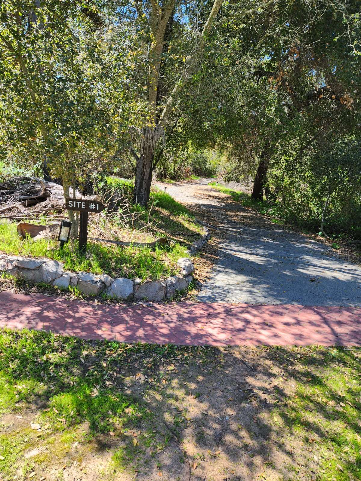 Picture of the site