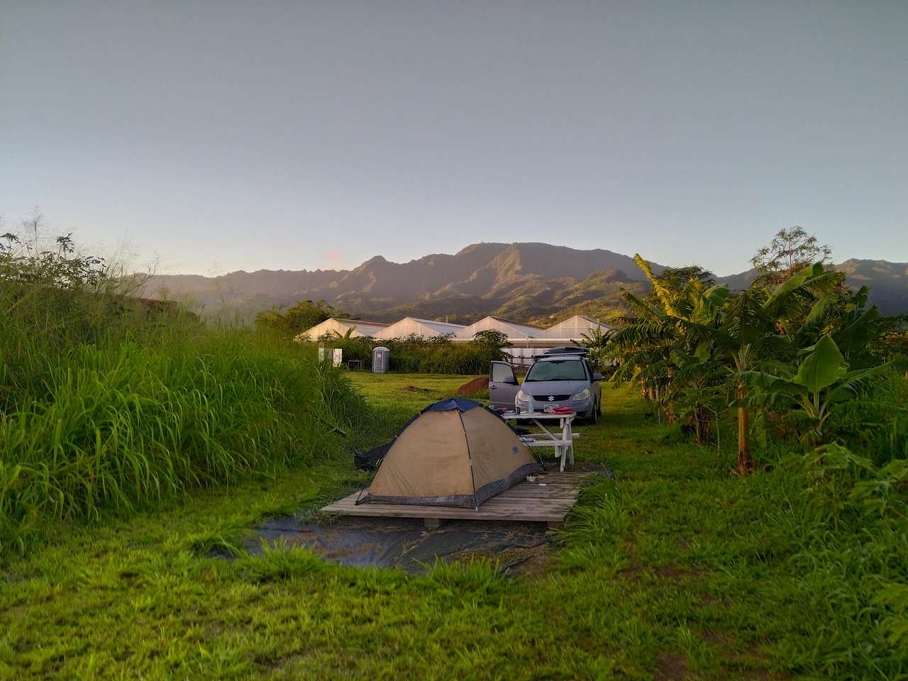 Picture of the site