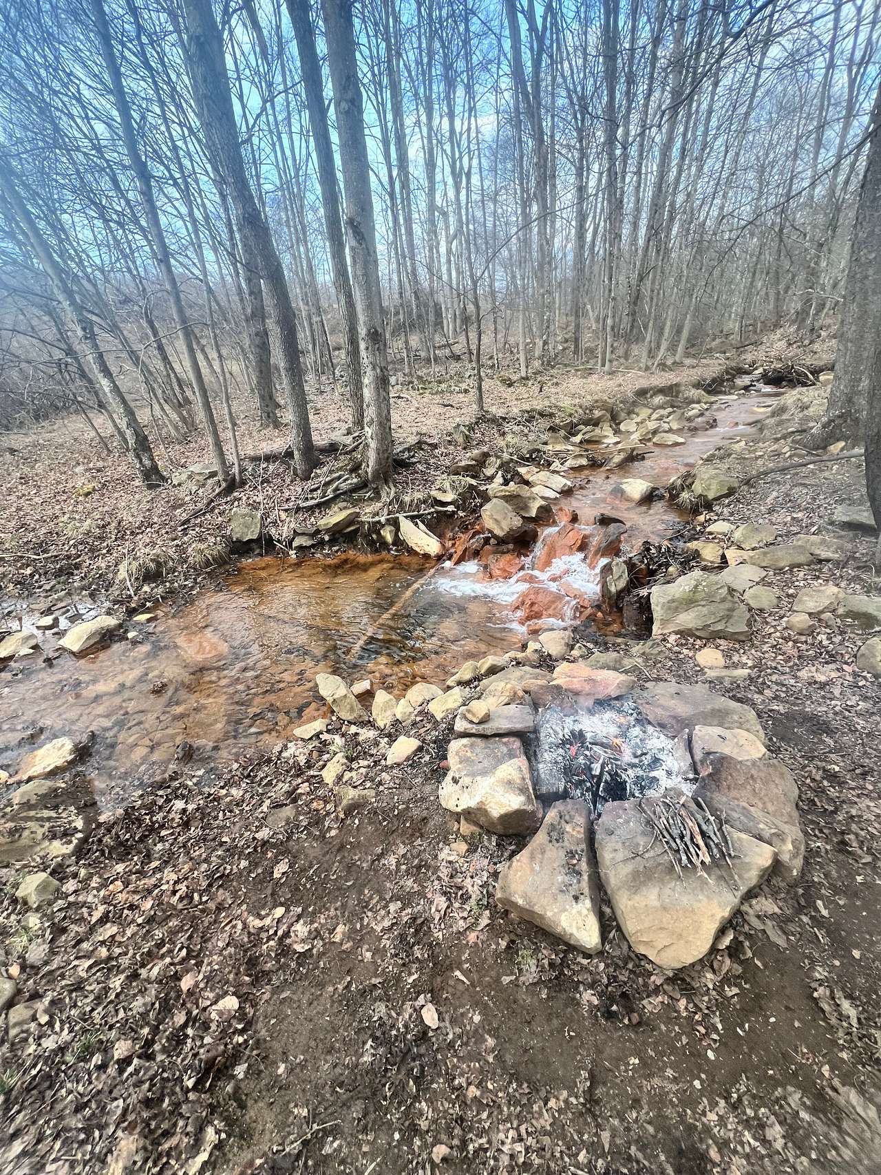 Picture of the site