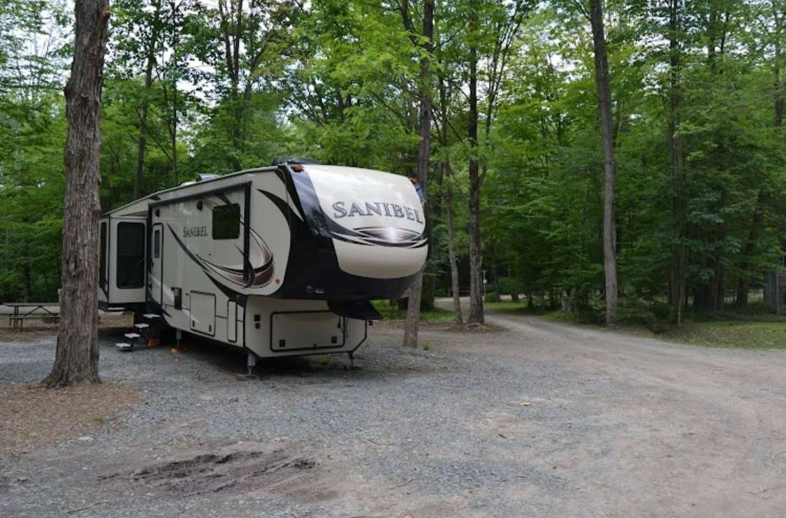 Picture of the site